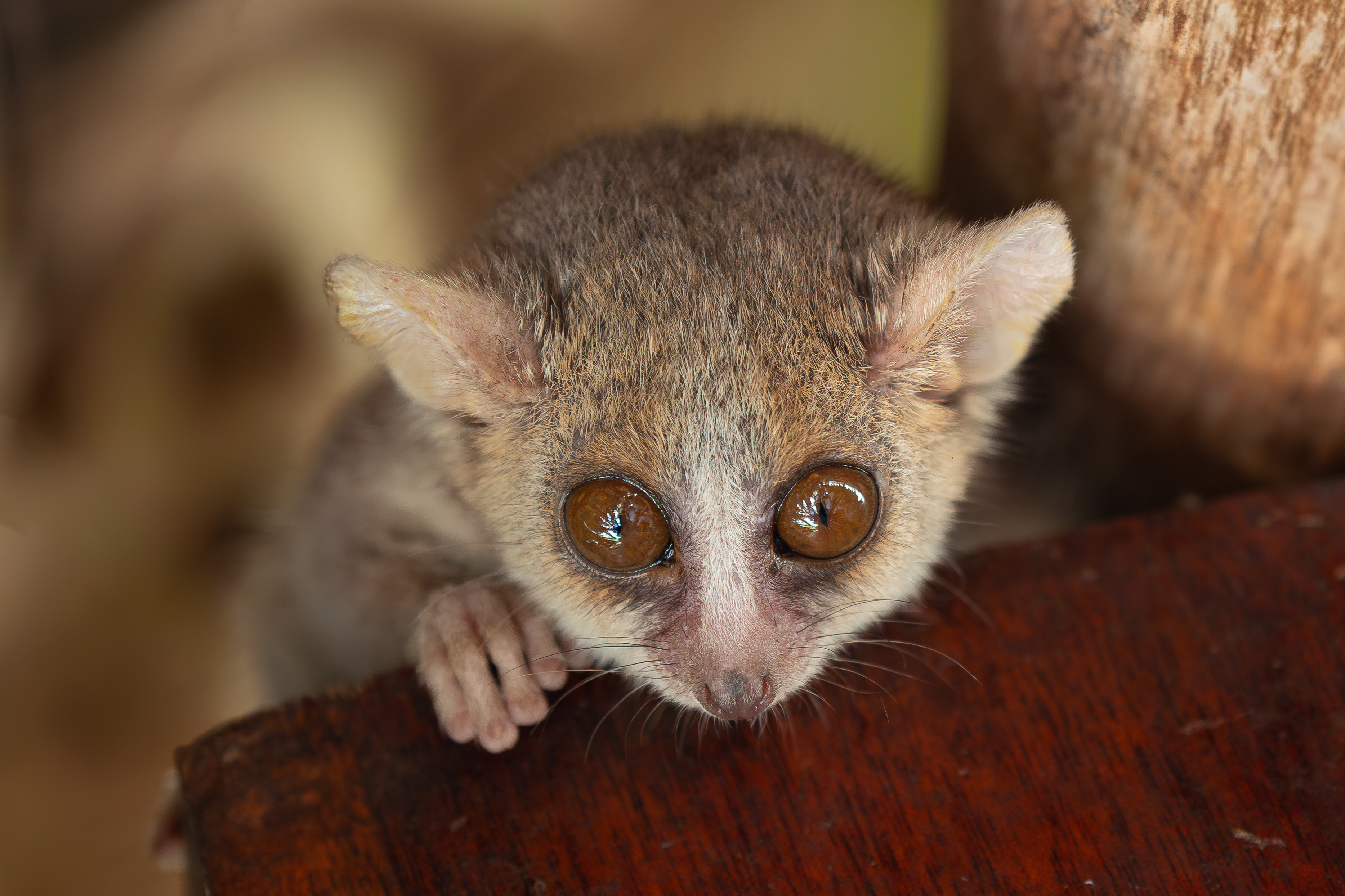 Nazwa:  PB060678-2.jpg
Wyświetleń: 117
Rozmiar:  4,26 MB