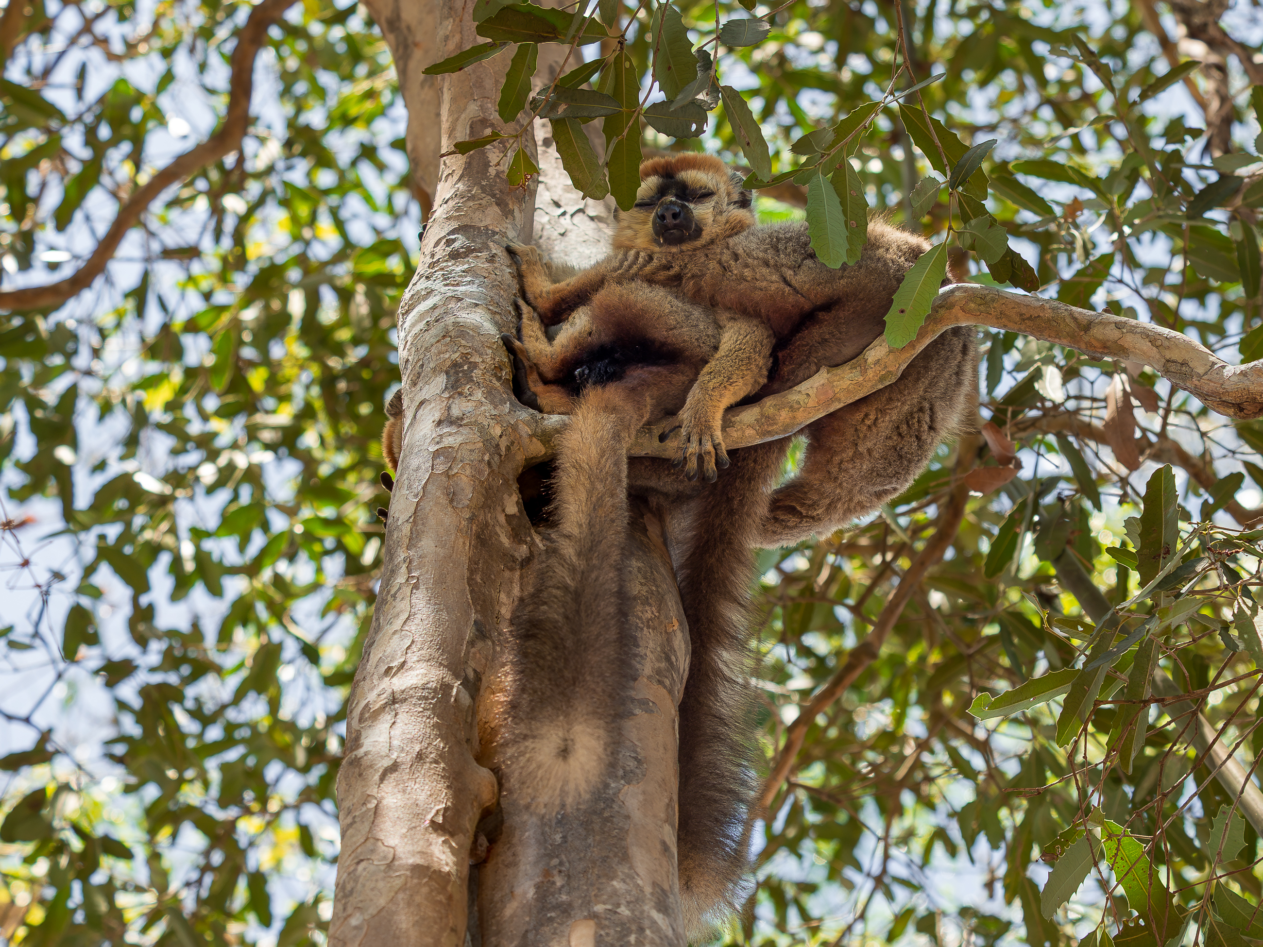 Nazwa:  PB060671.jpg
Wyświetleń: 119
Rozmiar:  4,33 MB