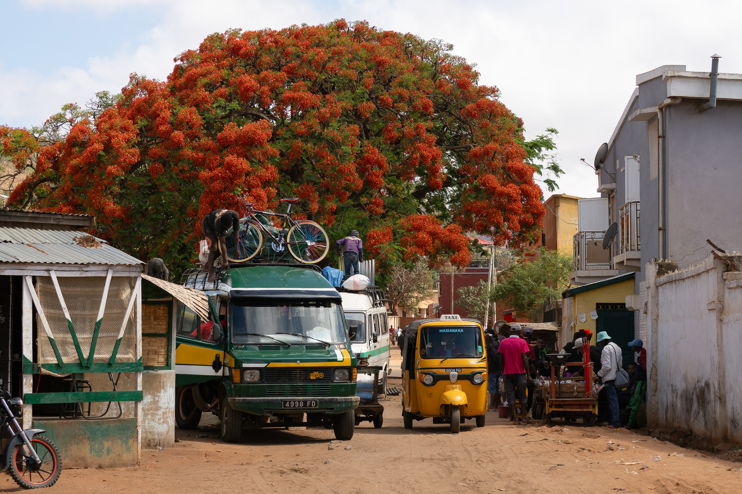 Nazwa:  PB050743.jpg
Wyświetleń: 80
Rozmiar:  4,57 MB