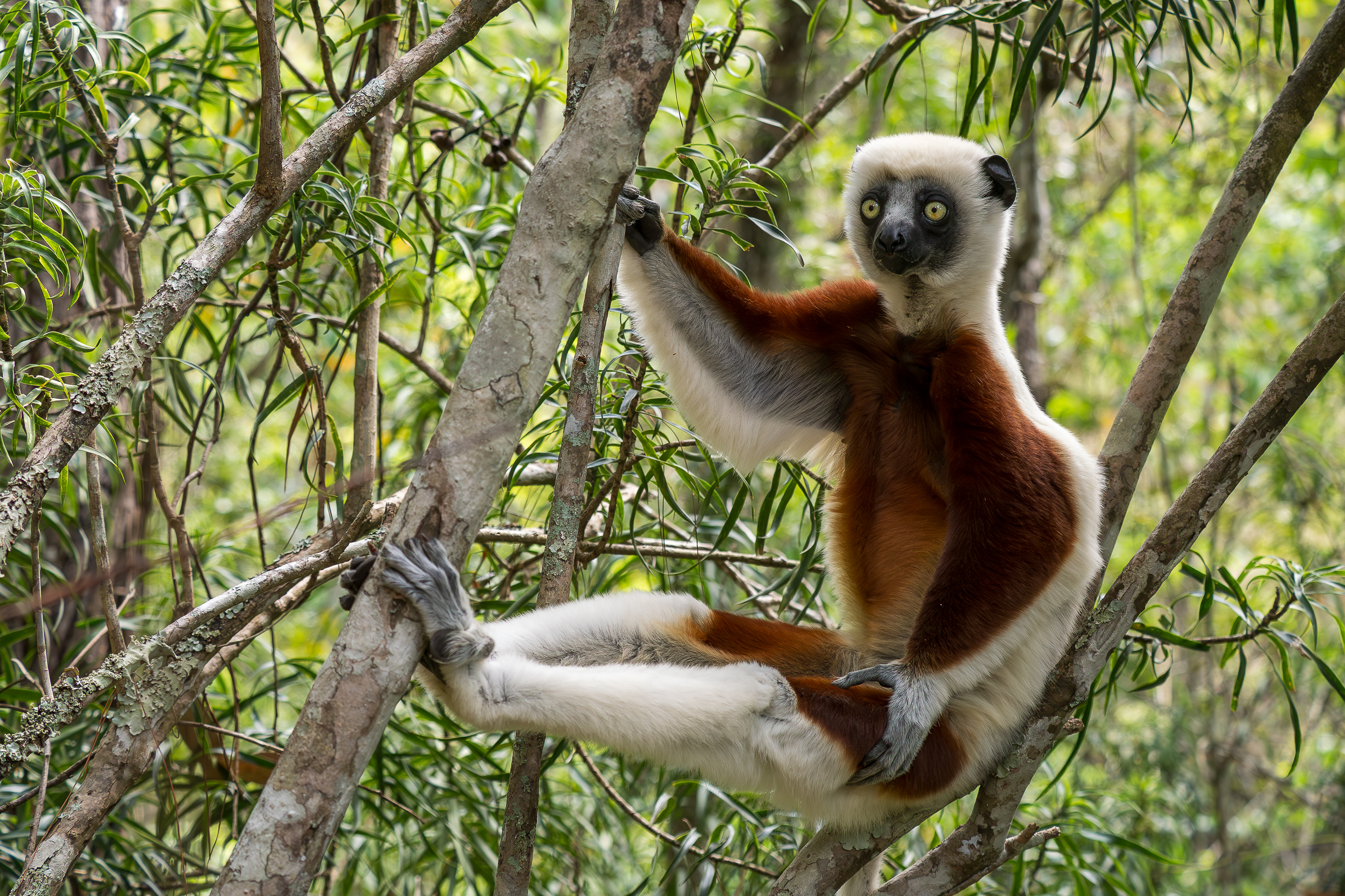 Nazwa:  PB111361.jpg
Wyświetleń: 67
Rozmiar:  4,20 MB