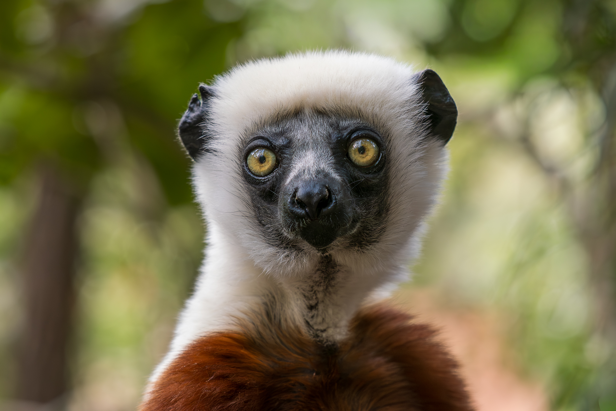 Nazwa:  PB111356.jpg
Wyświetleń: 66
Rozmiar:  2,07 MB