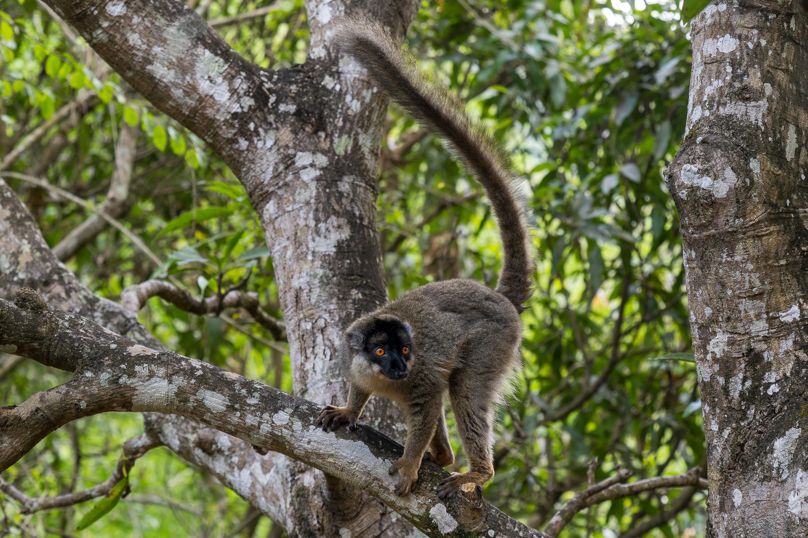 Nazwa:  PB111263.jpg
Wyświetleń: 68
Rozmiar:  4,04 MB