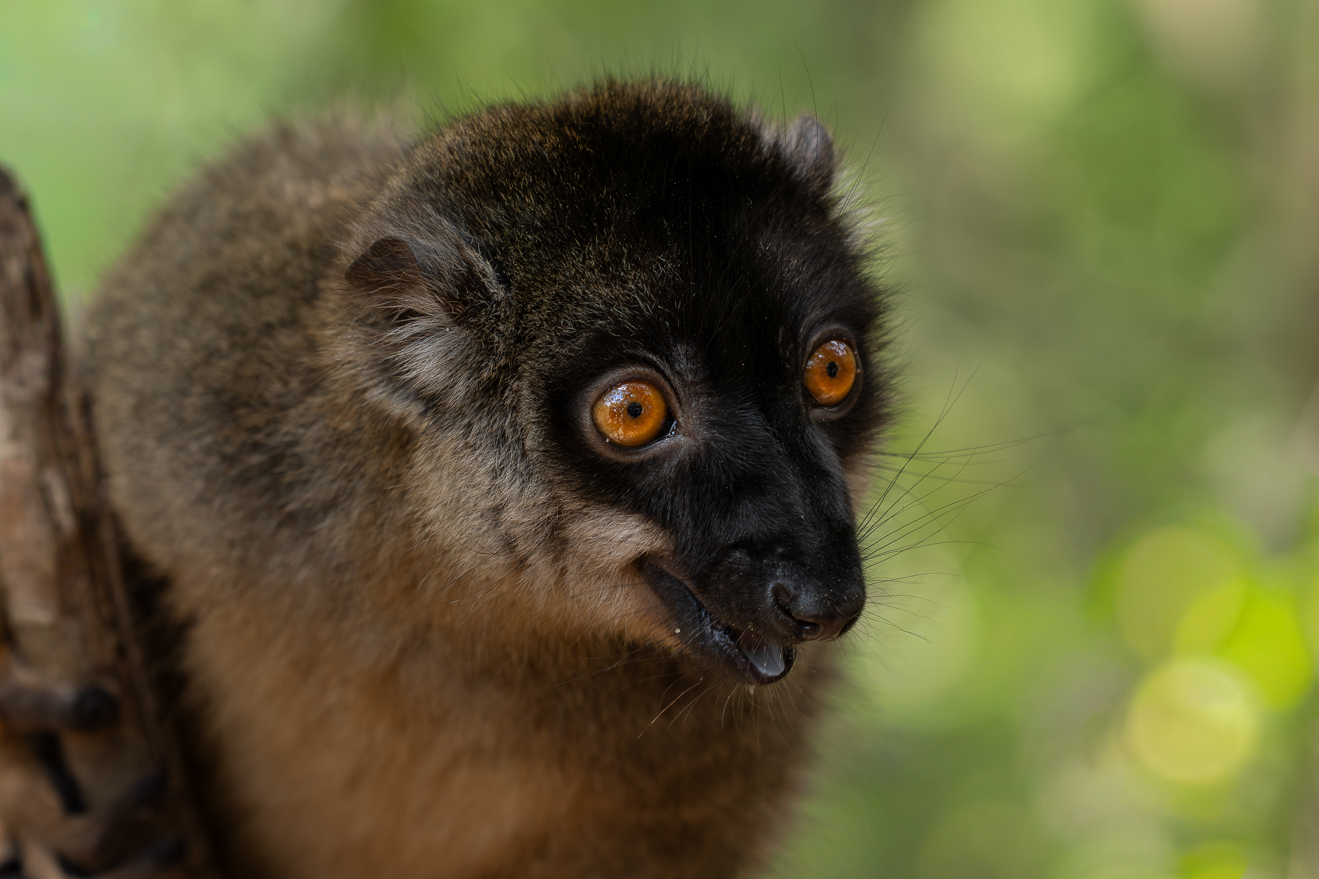 Nazwa:  PB111240.jpg
Wyświetleń: 67
Rozmiar:  2,03 MB