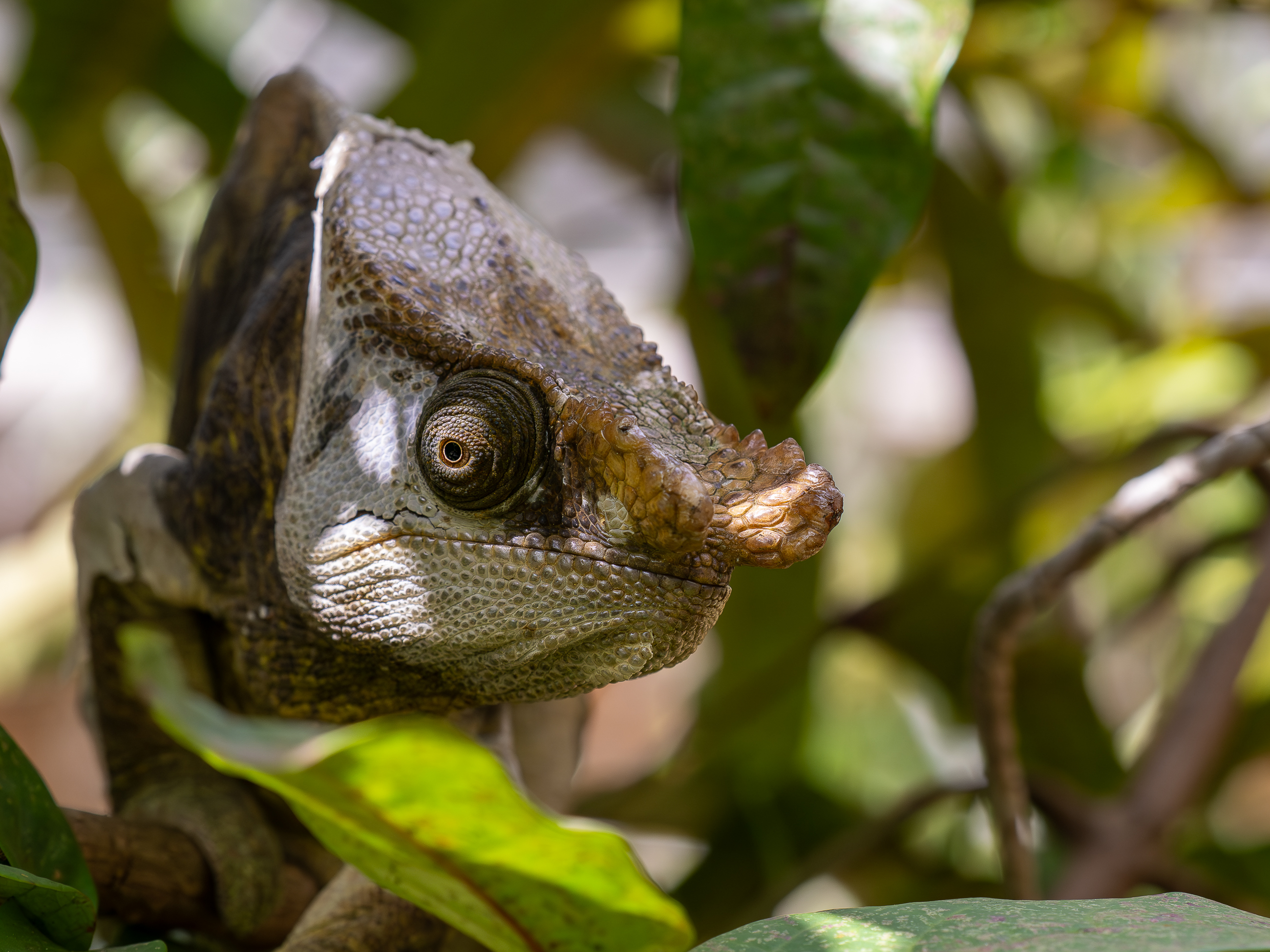 Nazwa:  PB111293.jpg
Wyświetleń: 38
Rozmiar:  2,47 MB