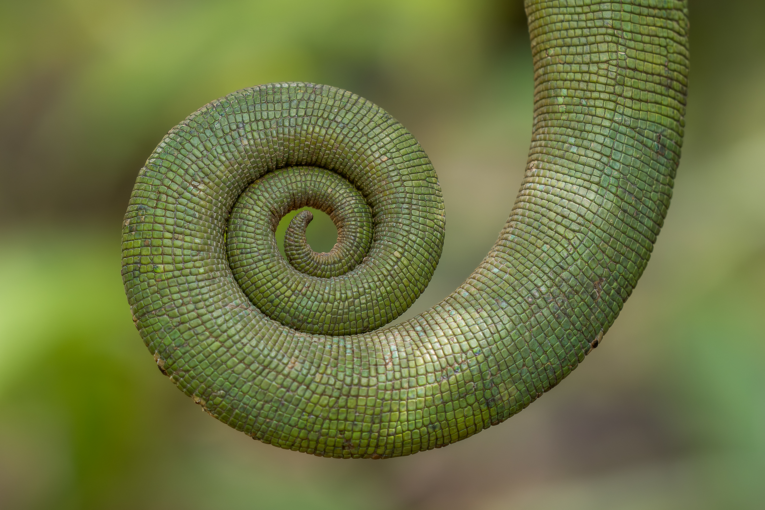 Nazwa:  PB111328.jpg
Wyświetleń: 38
Rozmiar:  3,17 MB