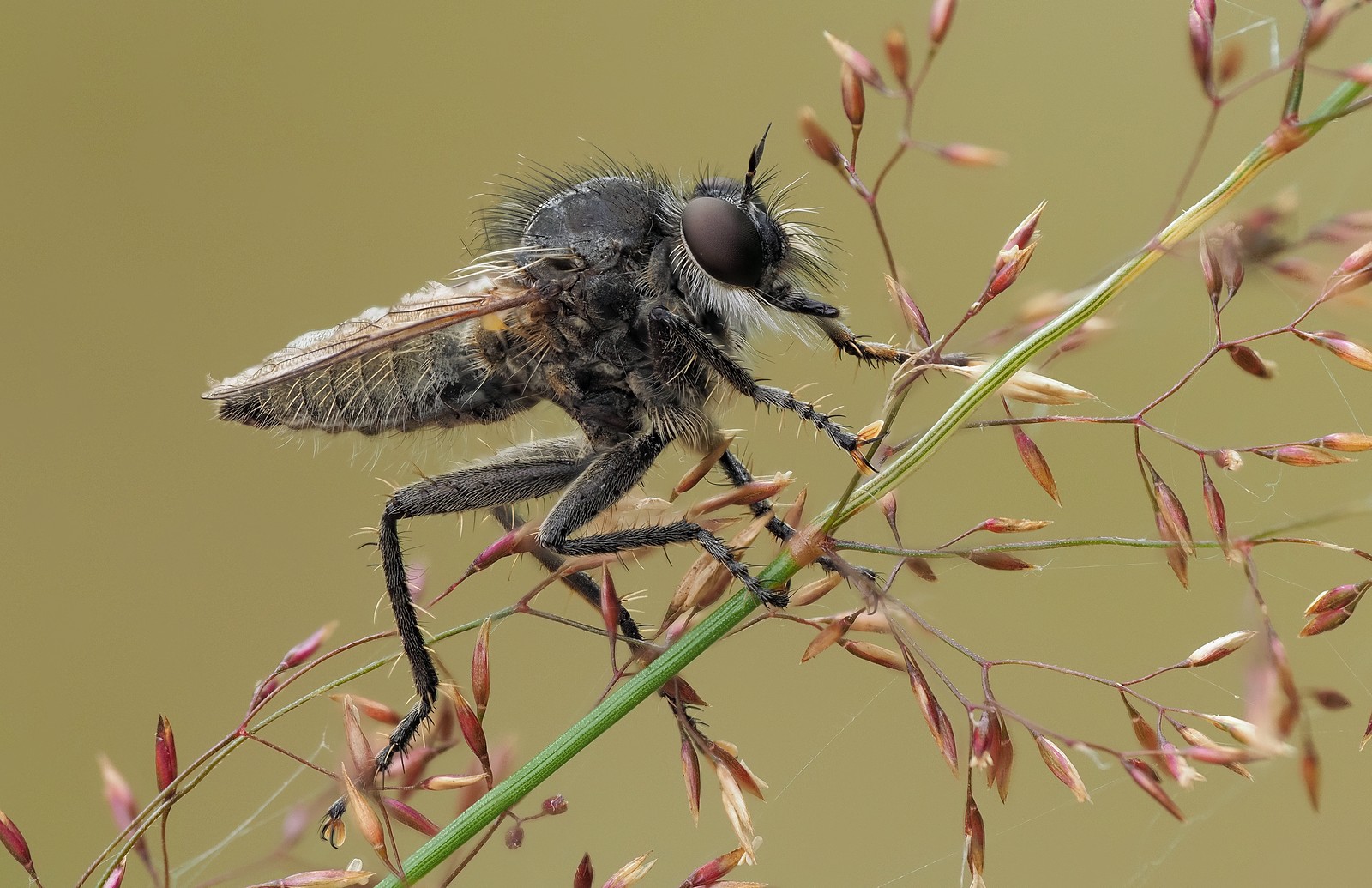 Nazwa:  łowik194095-108m.jpg
Wyświetleń: 30
Rozmiar:  341,2 KB