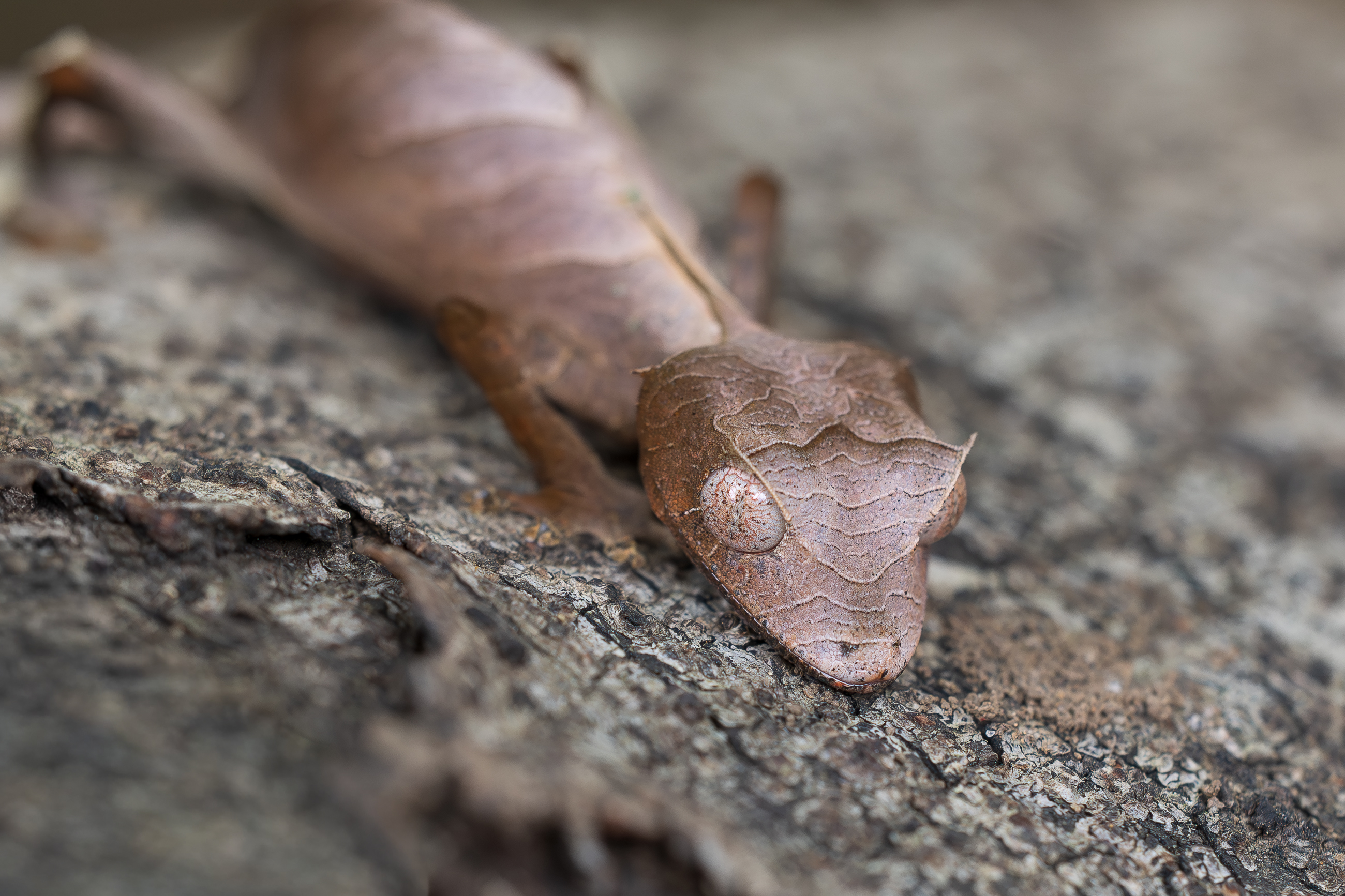 Nazwa:  PB111408.jpg
Wyświetleń: 11
Rozmiar:  2,40 MB