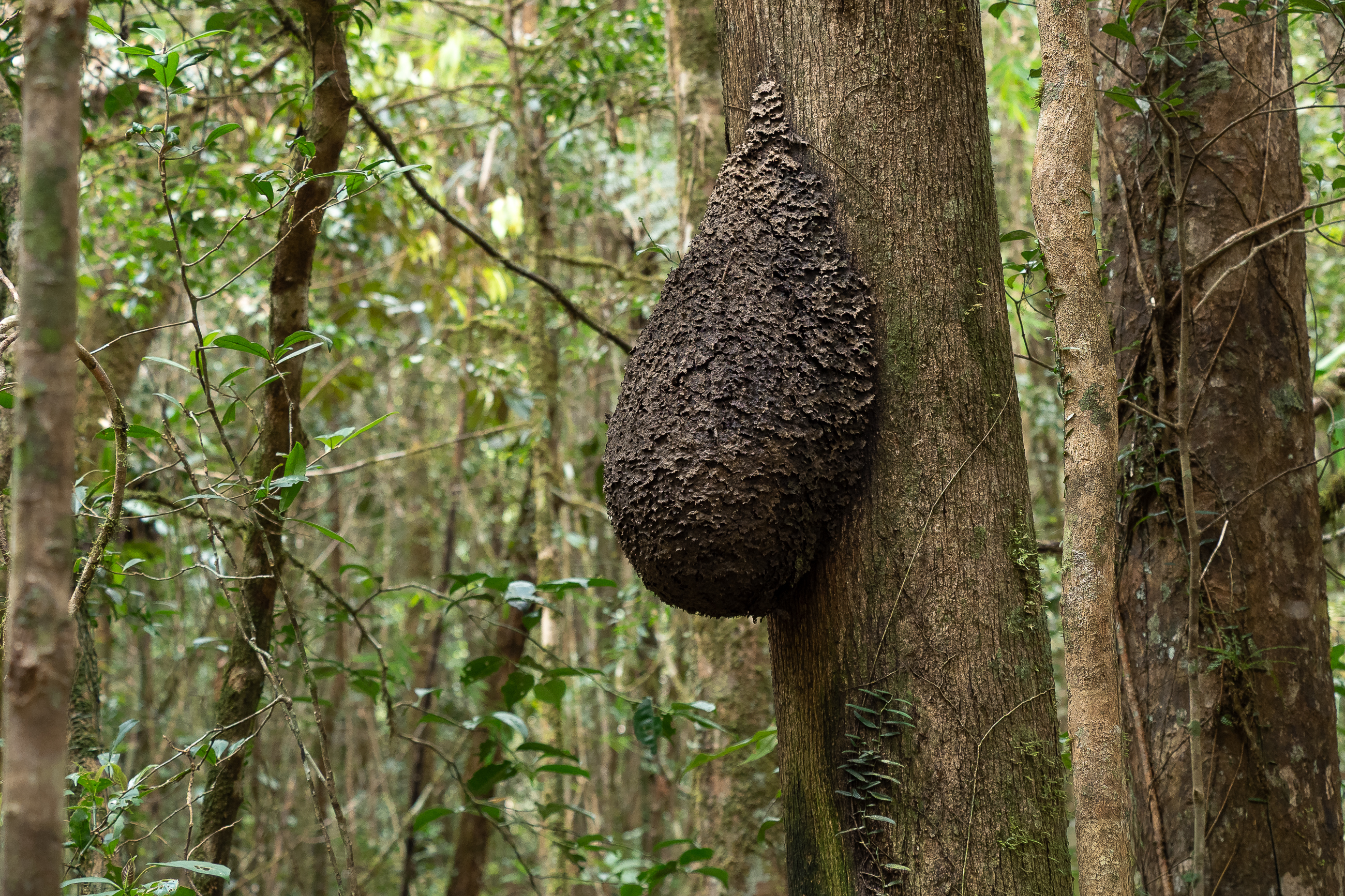 Nazwa:  PB100930.jpg
Wyświetleń: 44
Rozmiar:  4,92 MB