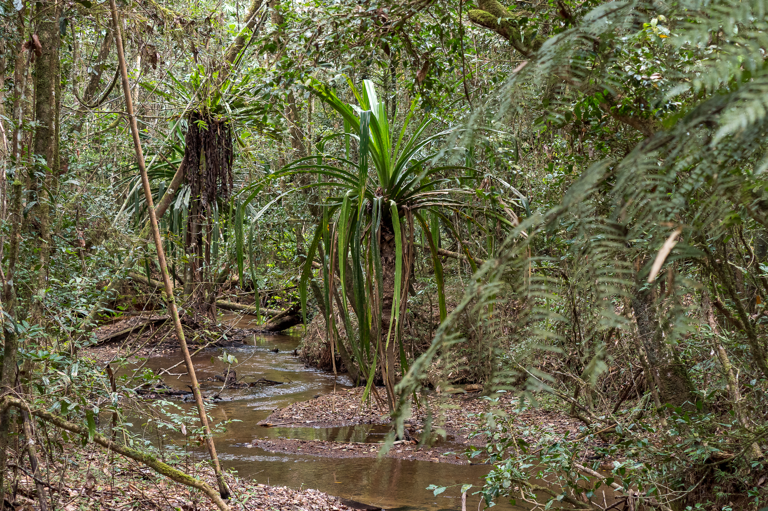 Nazwa:  PB100929.jpg
Wyświetleń: 44
Rozmiar:  6,57 MB