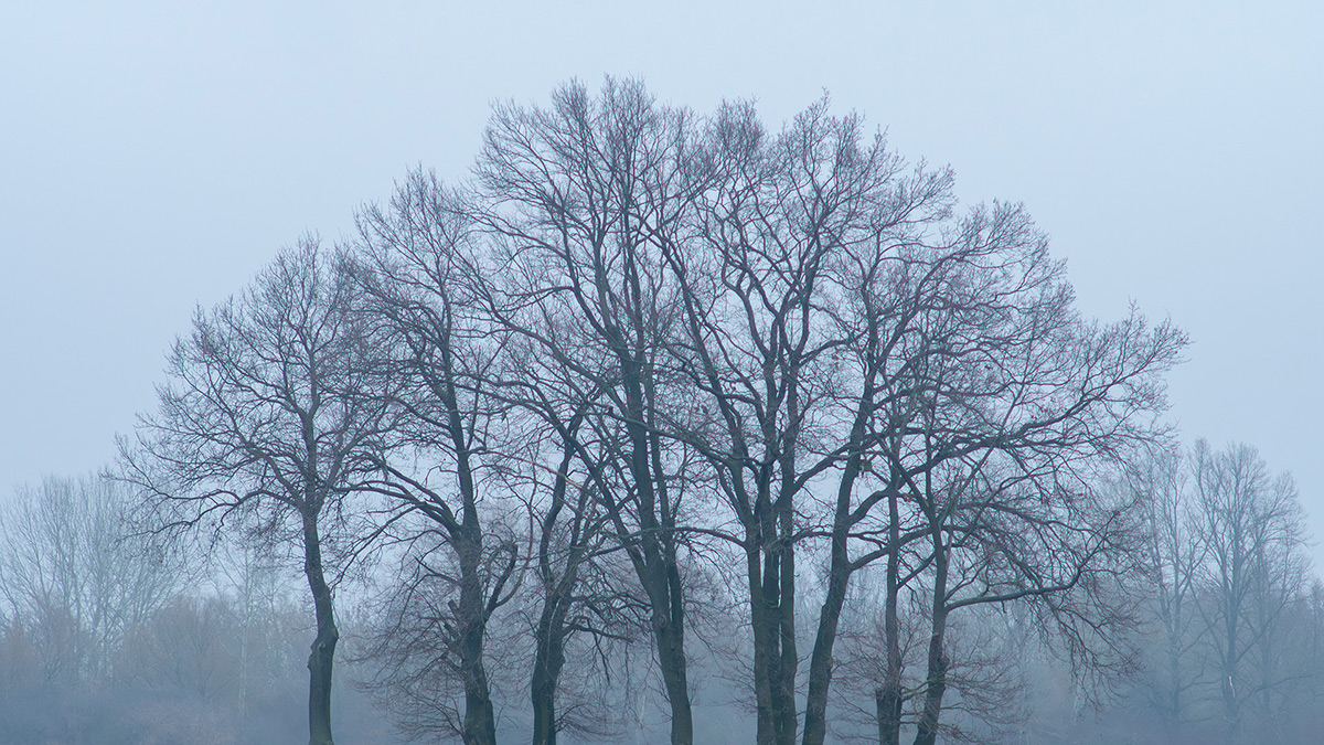 Nazwa:  PB301638-Enhanced-NR.jpg
Wyświetleń: 68
Rozmiar:  413,1 KB