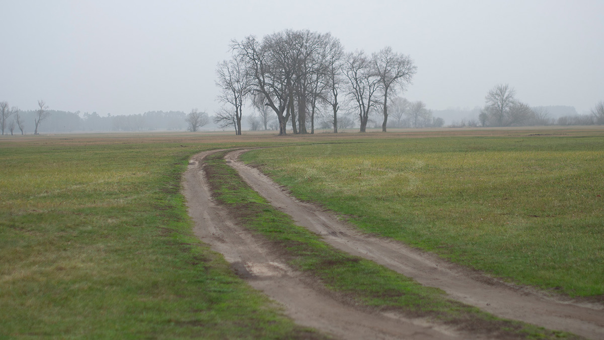 Nazwa:  PB301648-Enhanced-NR.jpg
Wyświetleń: 66
Rozmiar:  217,9 KB