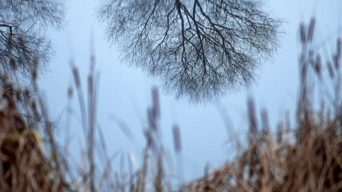 Nazwa:  PB301661-Enhanced-NR.jpg
Wyświetleń: 65
Rozmiar:  269,9 KB