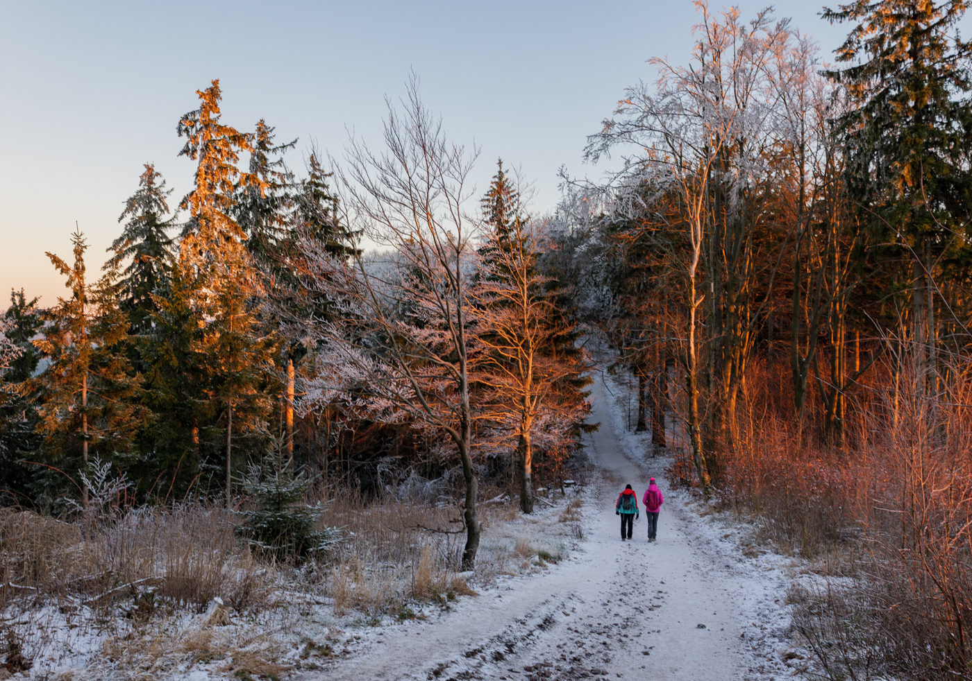 Nazwa:  _JJB5795.jpg
Wyświetleń: 57
Rozmiar:  1,52 MB