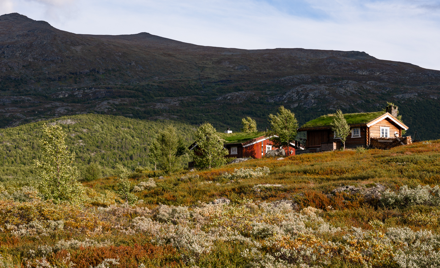 Nazwa:  _NO68624-2.jpg
Wyświetleń: 58
Rozmiar:  1,46 MB