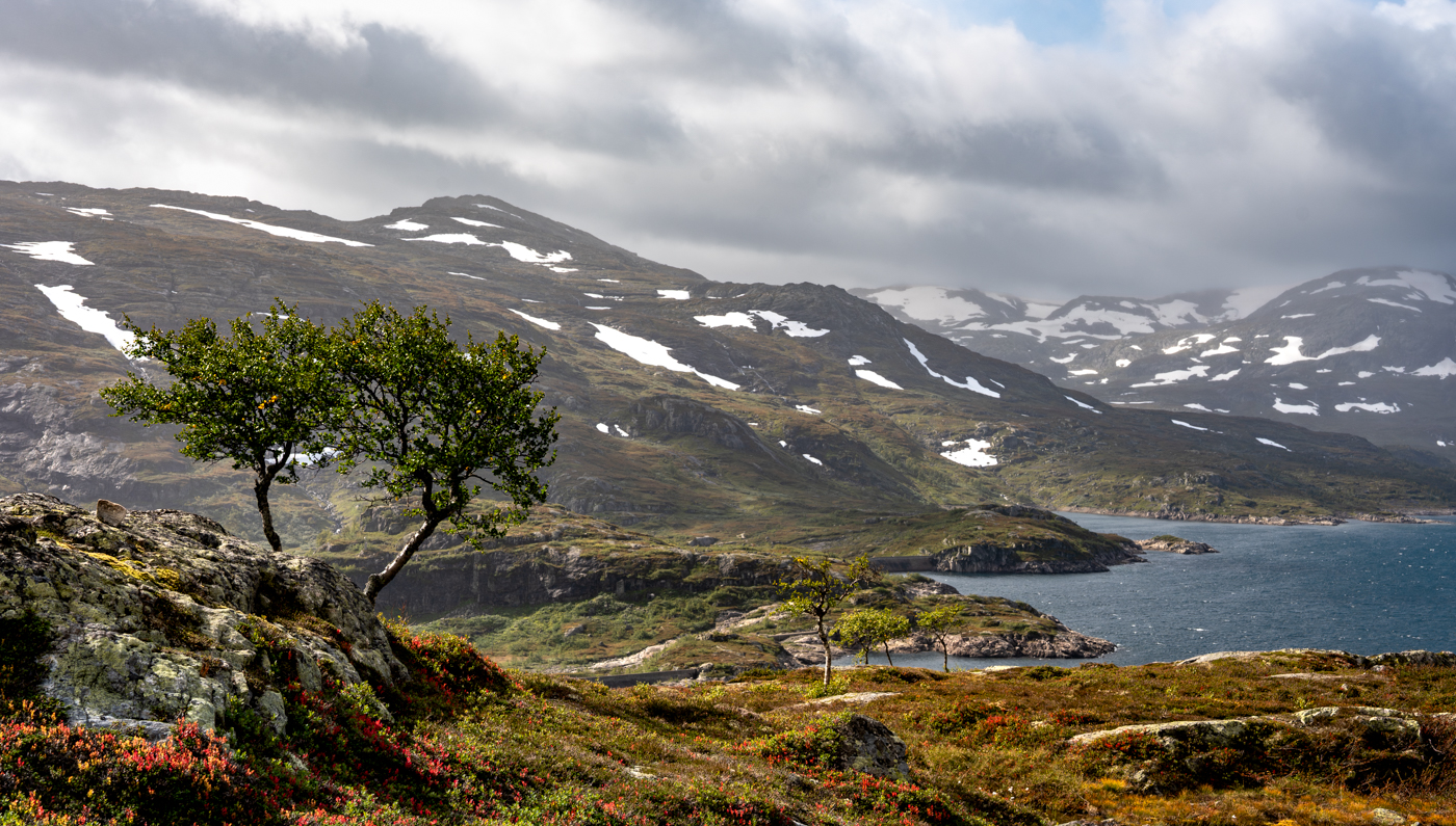 Nazwa:  _NO69169.jpg
Wyświetleń: 38
Rozmiar:  1,15 MB