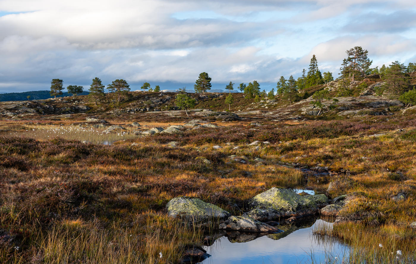 Nazwa:  _NO69391-2.jpg
Wyświetleń: 37
Rozmiar:  1,39 MB