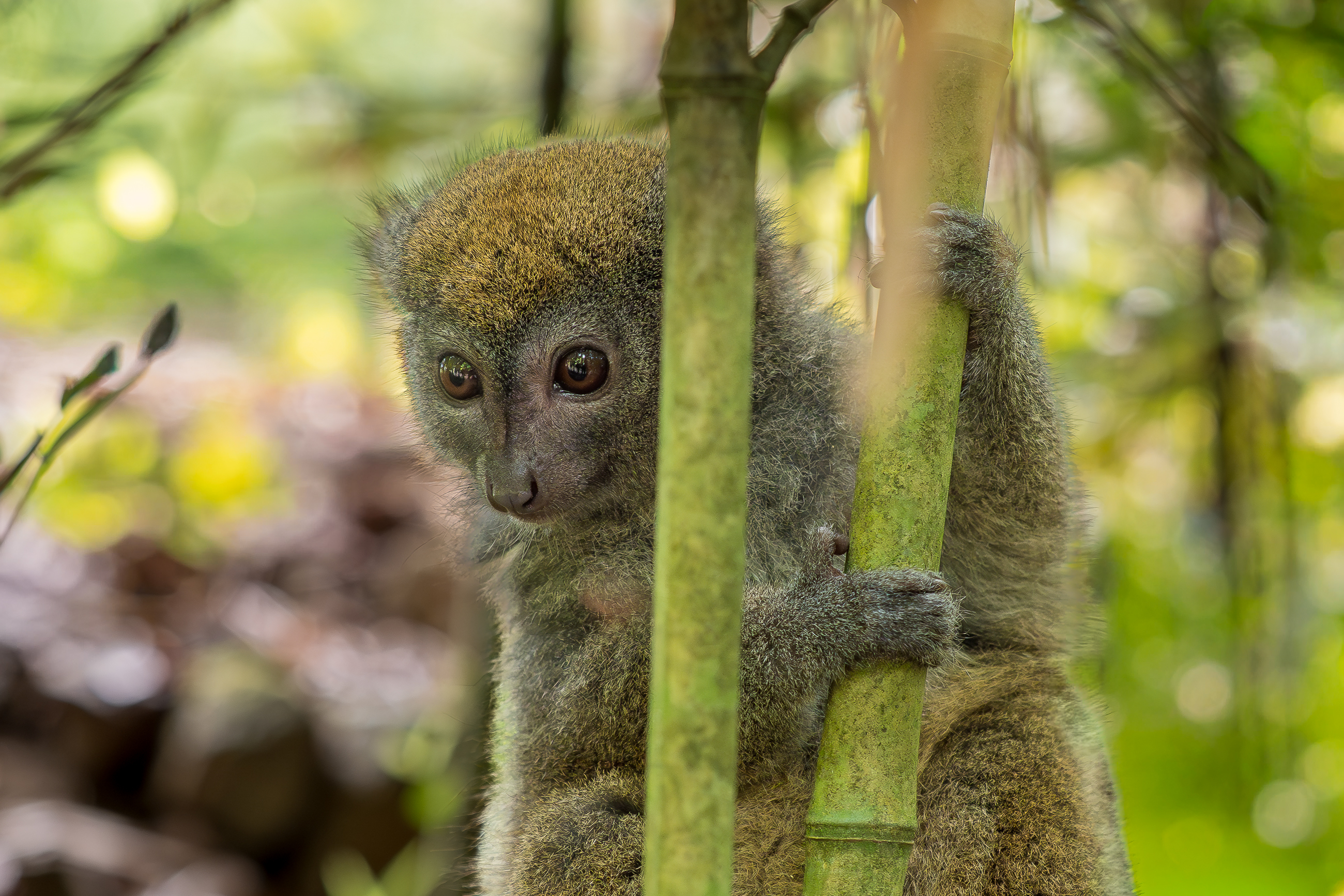 Nazwa:  PB101023-2.jpg
Wyświetleń: 59
Rozmiar:  3,35 MB