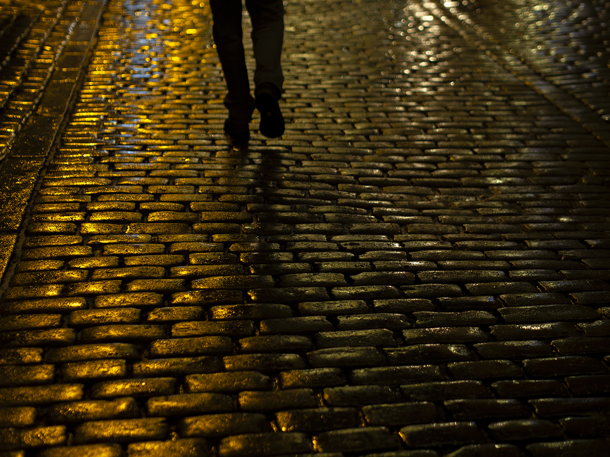 Nazwa:  P1291773-Enhanced-NR.jpg
Wyświetleń: 38
Rozmiar:  1,20 MB