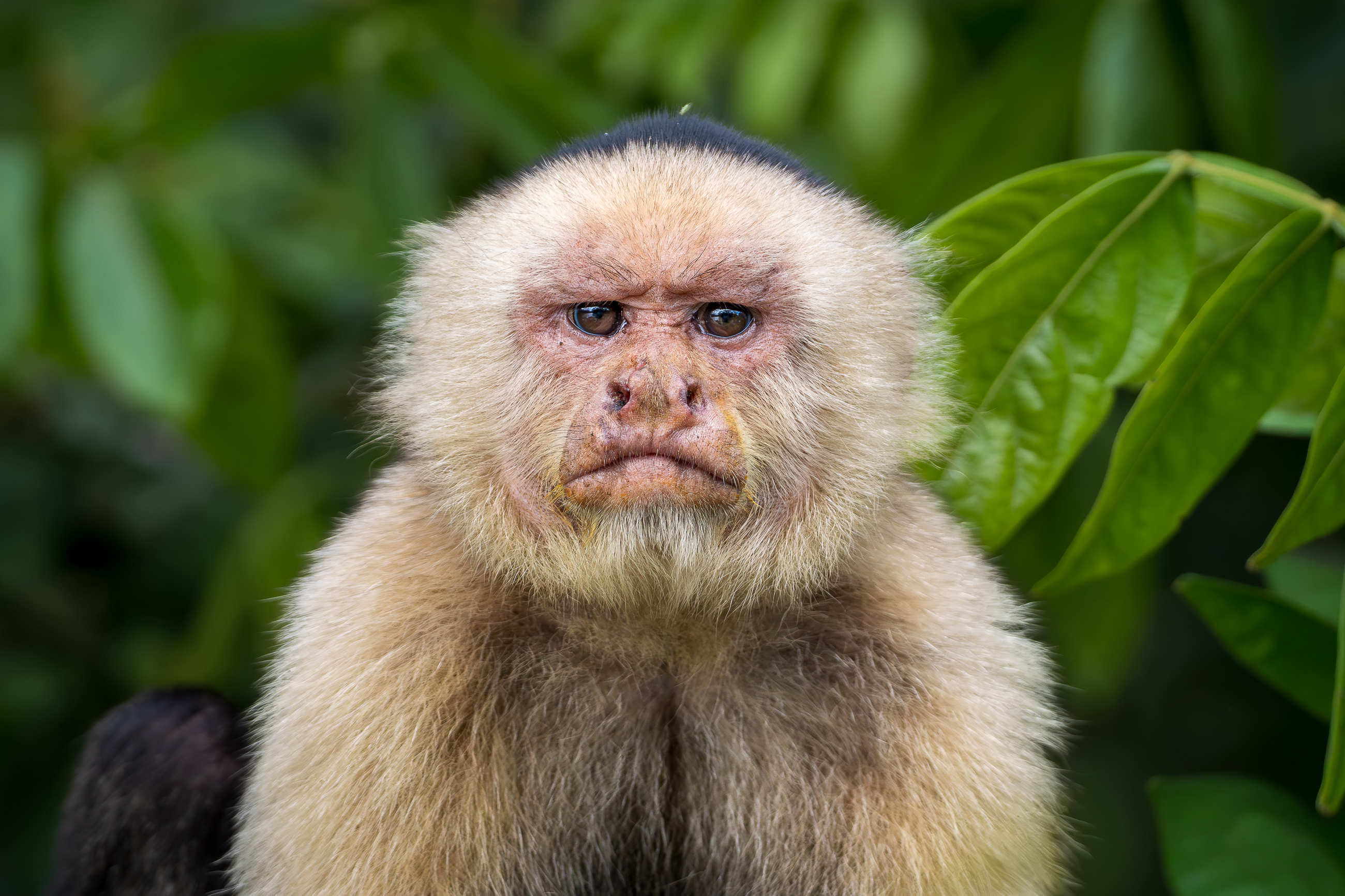 Nazwa:  P1190641-2.jpg
Wyświetleń: 114
Rozmiar:  2,74 MB