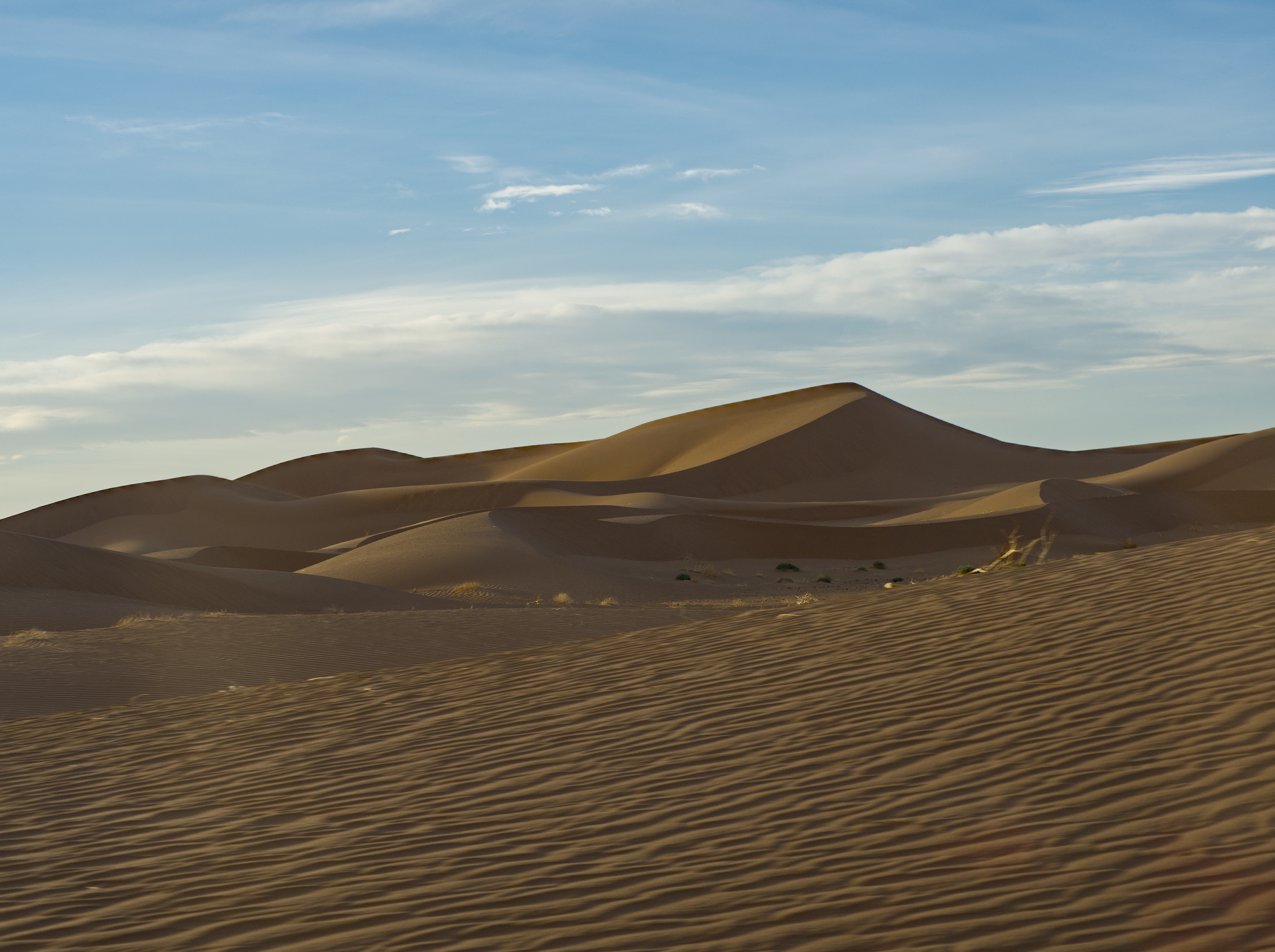 Kliknij obrazek, aby uzyskać większą wersję

Nazwa:	P1280233.jpg
Wyświetleń:	617
Rozmiar:	10,09 MB
ID:	272088