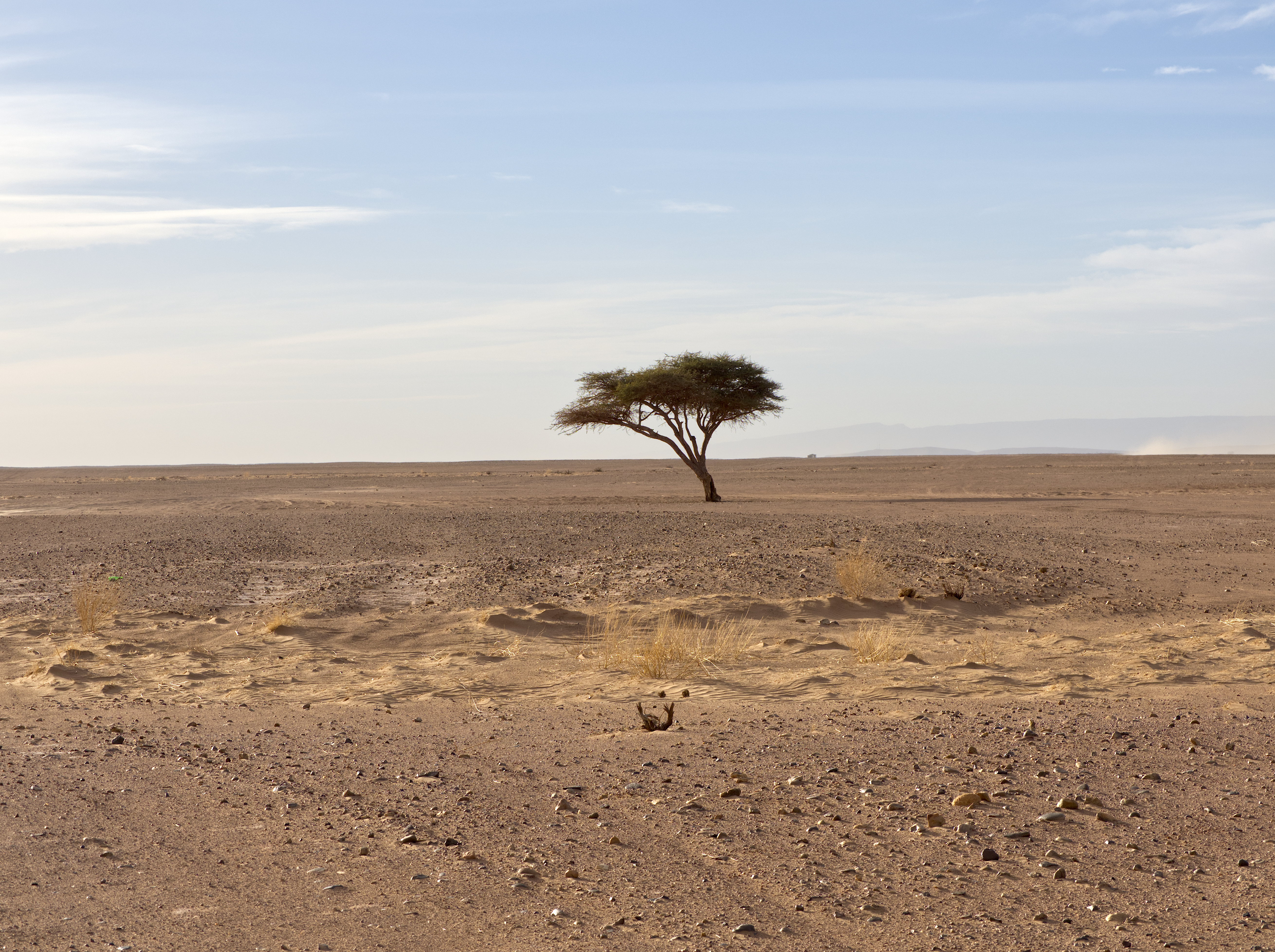 Kliknij obrazek, aby uzyskać większą wersję

Nazwa:	P1280217.jpg
Wyświetleń:	674
Rozmiar:	10,11 MB
ID:	272092