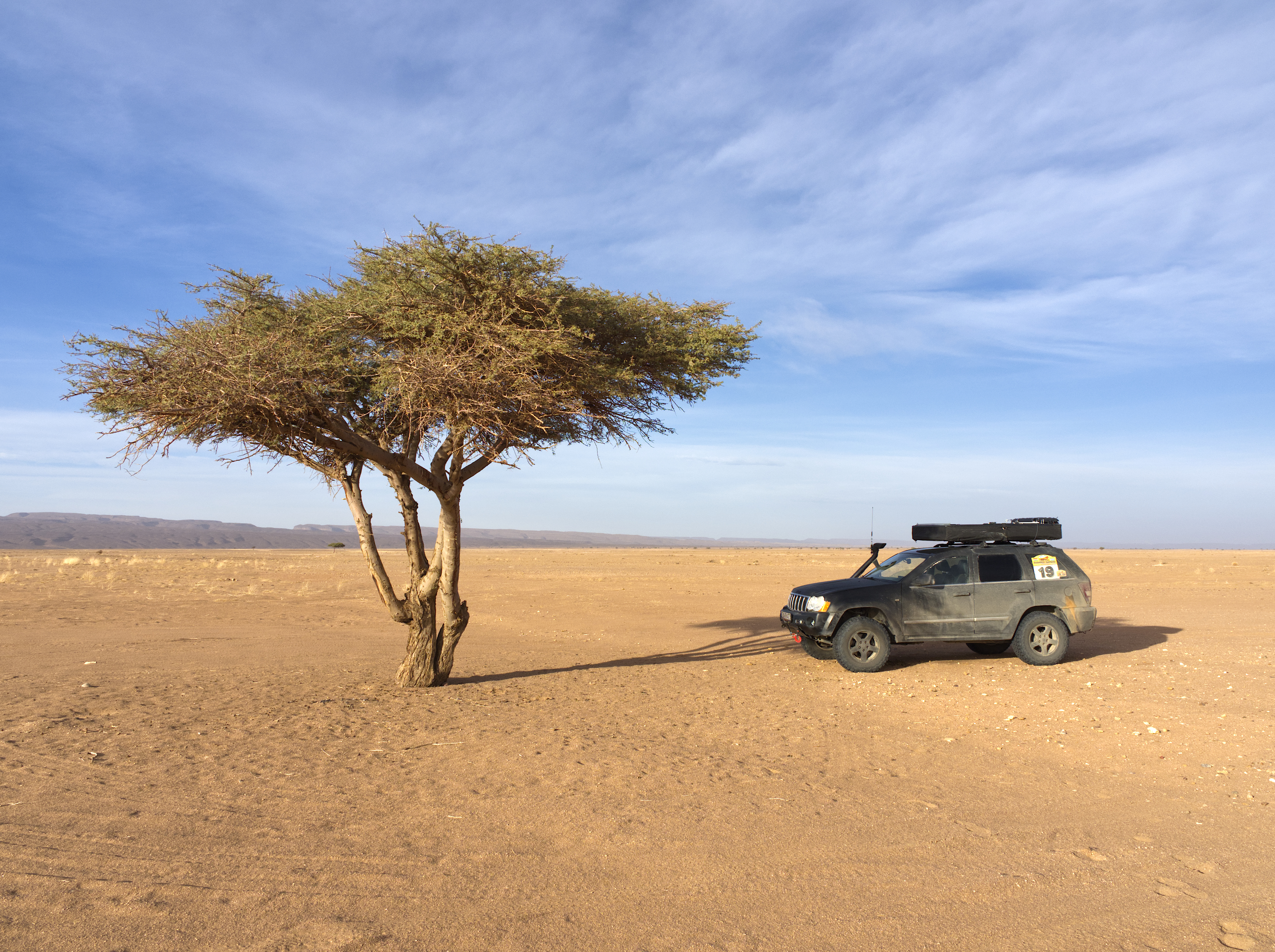 Kliknij obrazek, aby uzyskać większą wersję

Nazwa:	P1280225.jpg
Wyświetleń:	646
Rozmiar:	10,27 MB
ID:	272093