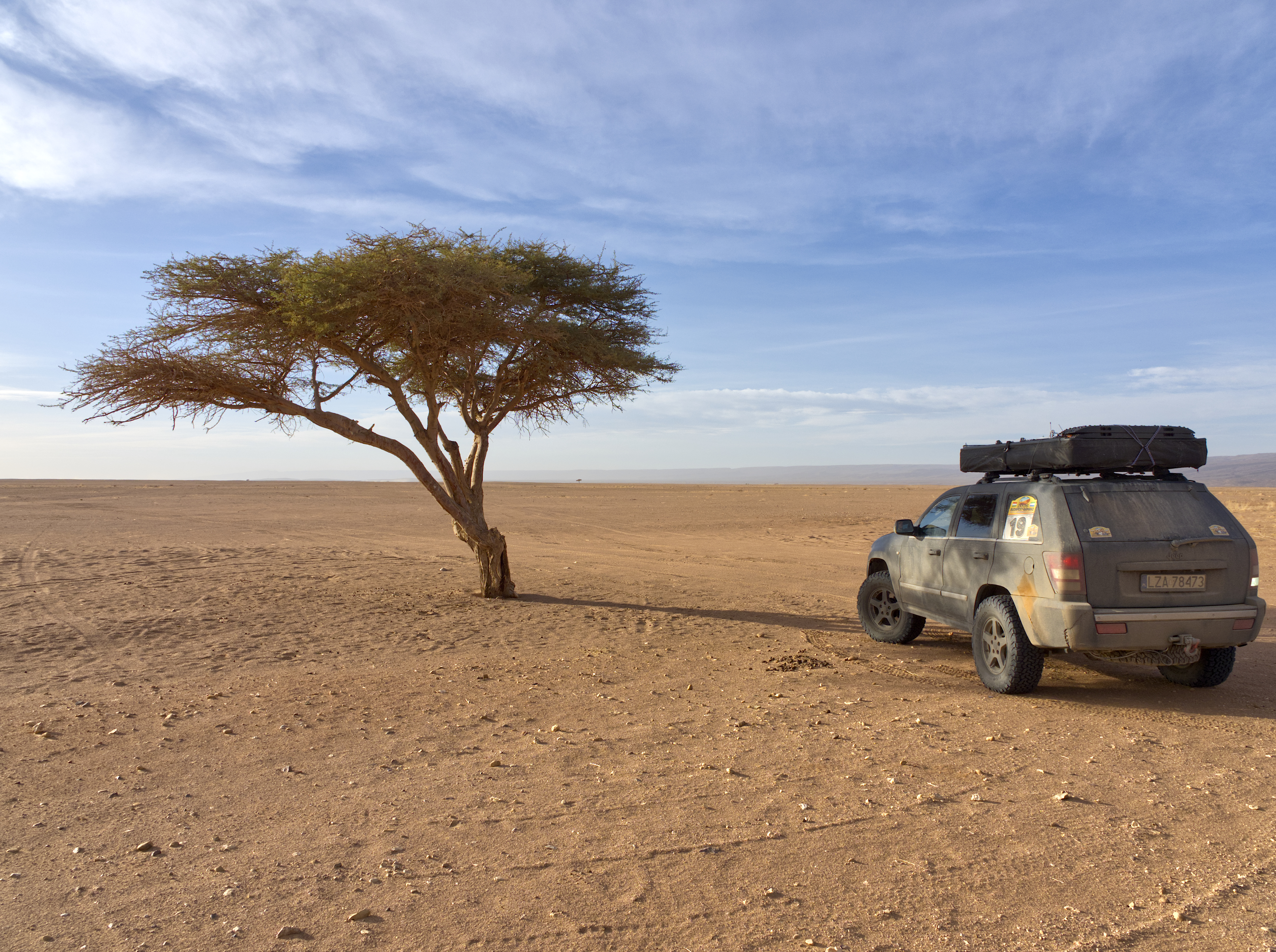 Kliknij obrazek, aby uzyskać większą wersję

Nazwa:	P1280221.jpg
Wyświetleń:	654
Rozmiar:	10,54 MB
ID:	272094