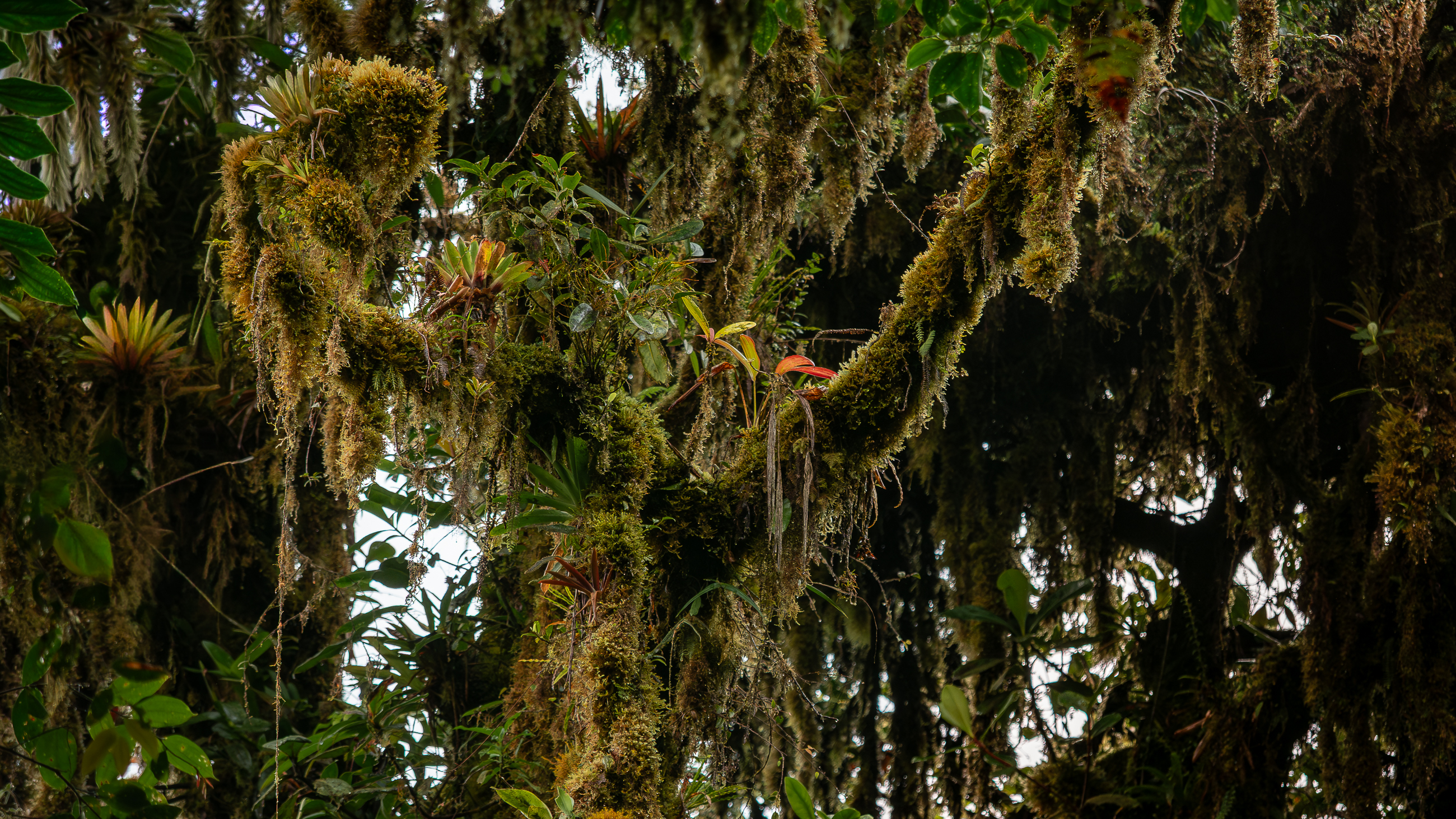 Nazwa:  P1180364.jpg
Wyświetleń: 86
Rozmiar:  3,89 MB