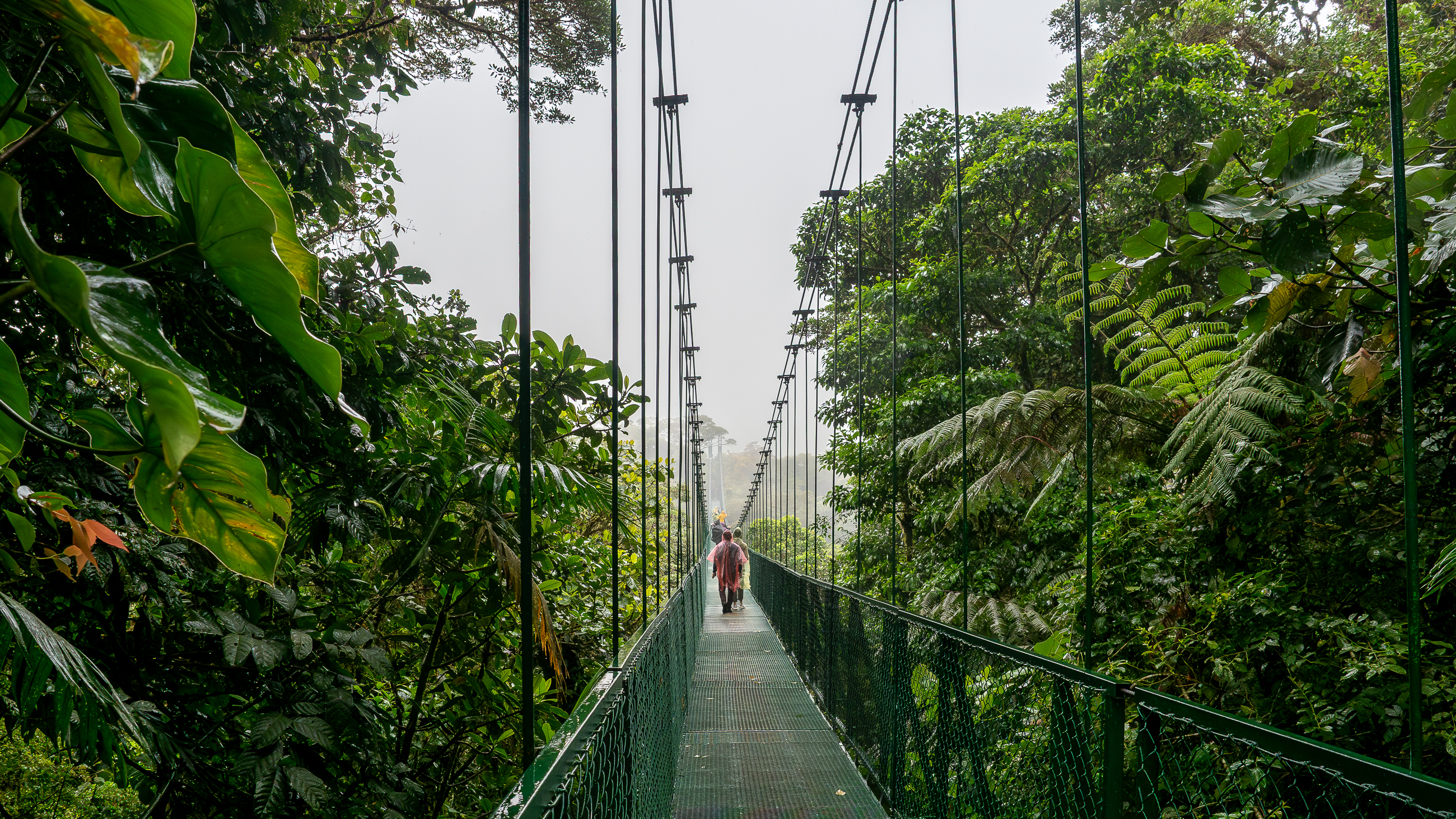 Nazwa:  P1190455.jpg
Wyświetleń: 85
Rozmiar:  4,99 MB