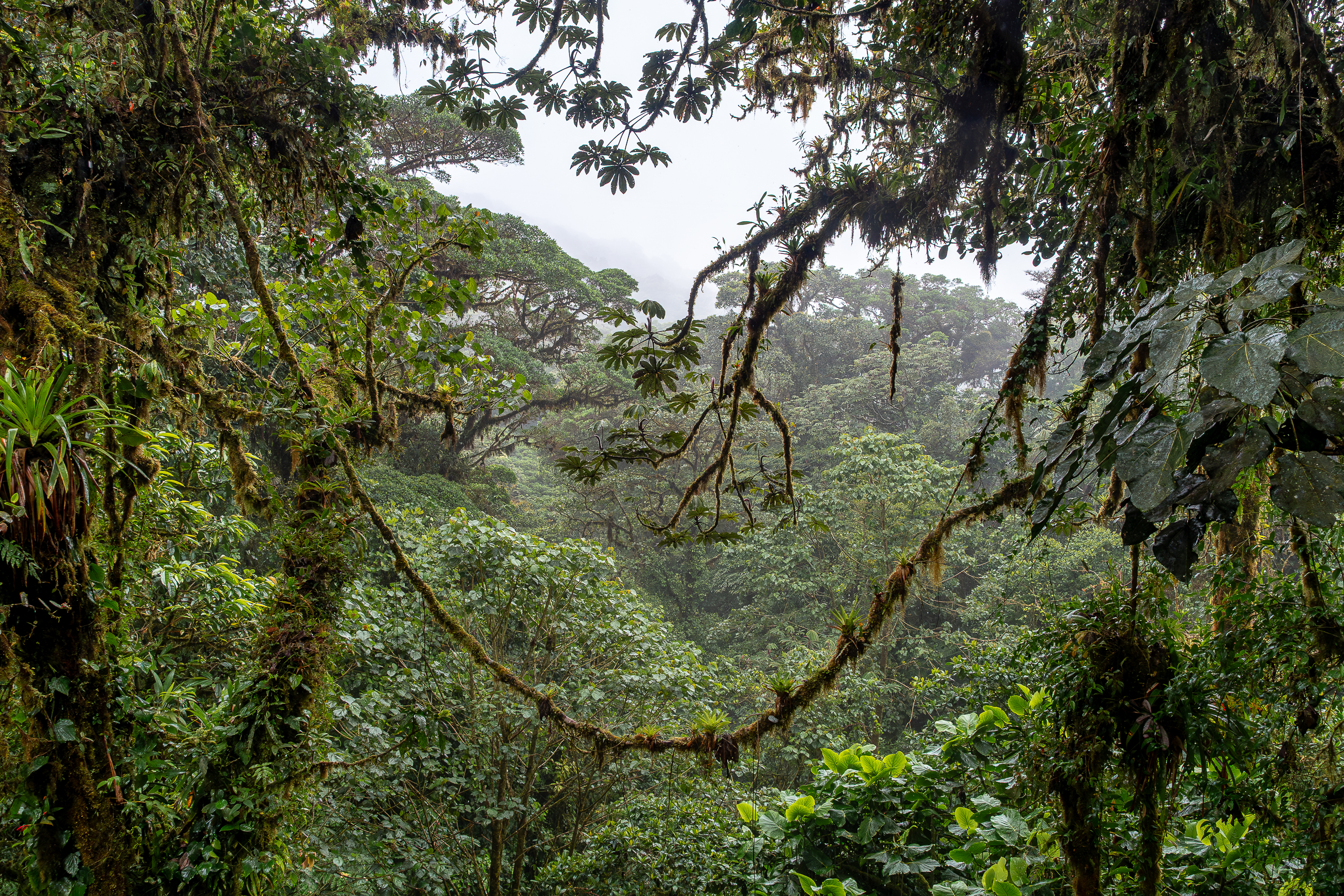 Nazwa:  P1190447.jpg
Wyświetleń: 86
Rozmiar:  6,81 MB