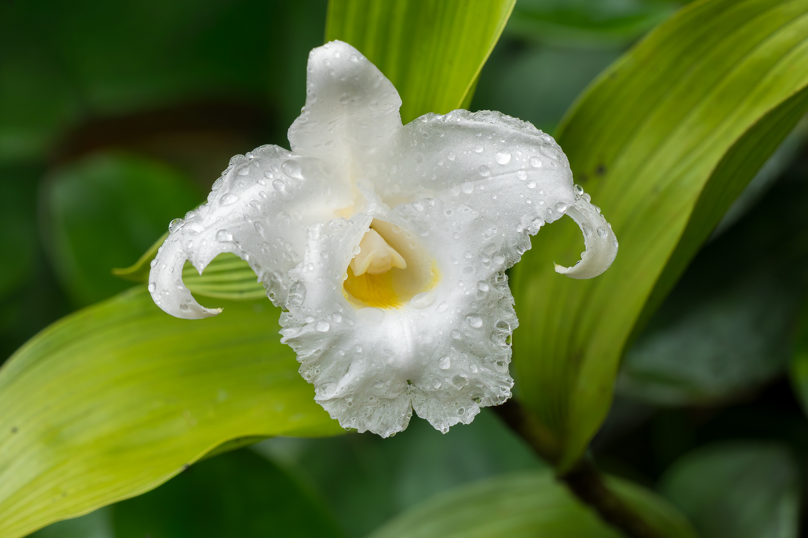 Nazwa:  P1170349.jpg
Wyświetleń: 84
Rozmiar:  1,94 MB