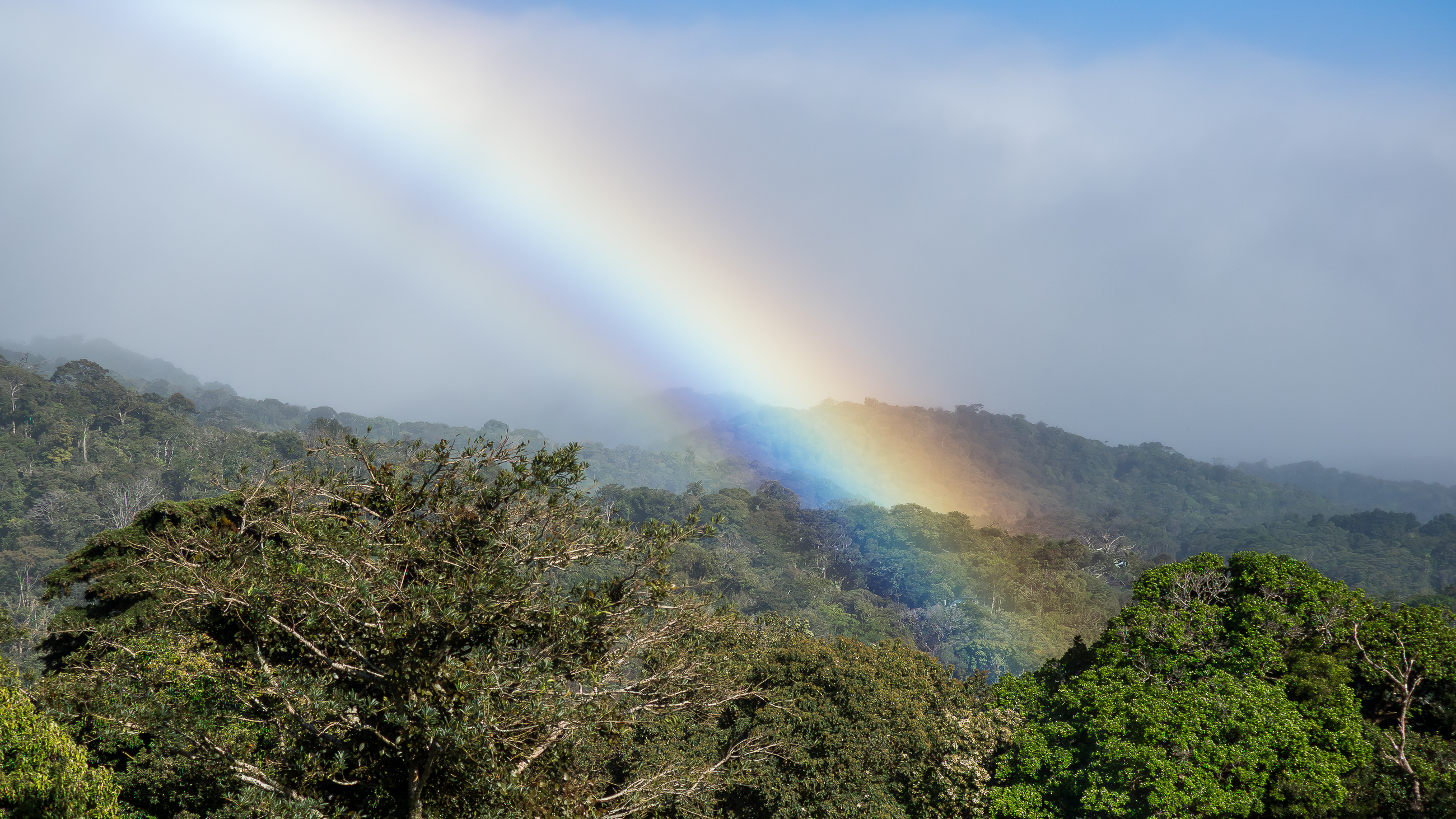 Nazwa:  P1180420.jpg
Wyświetleń: 84
Rozmiar:  3,27 MB