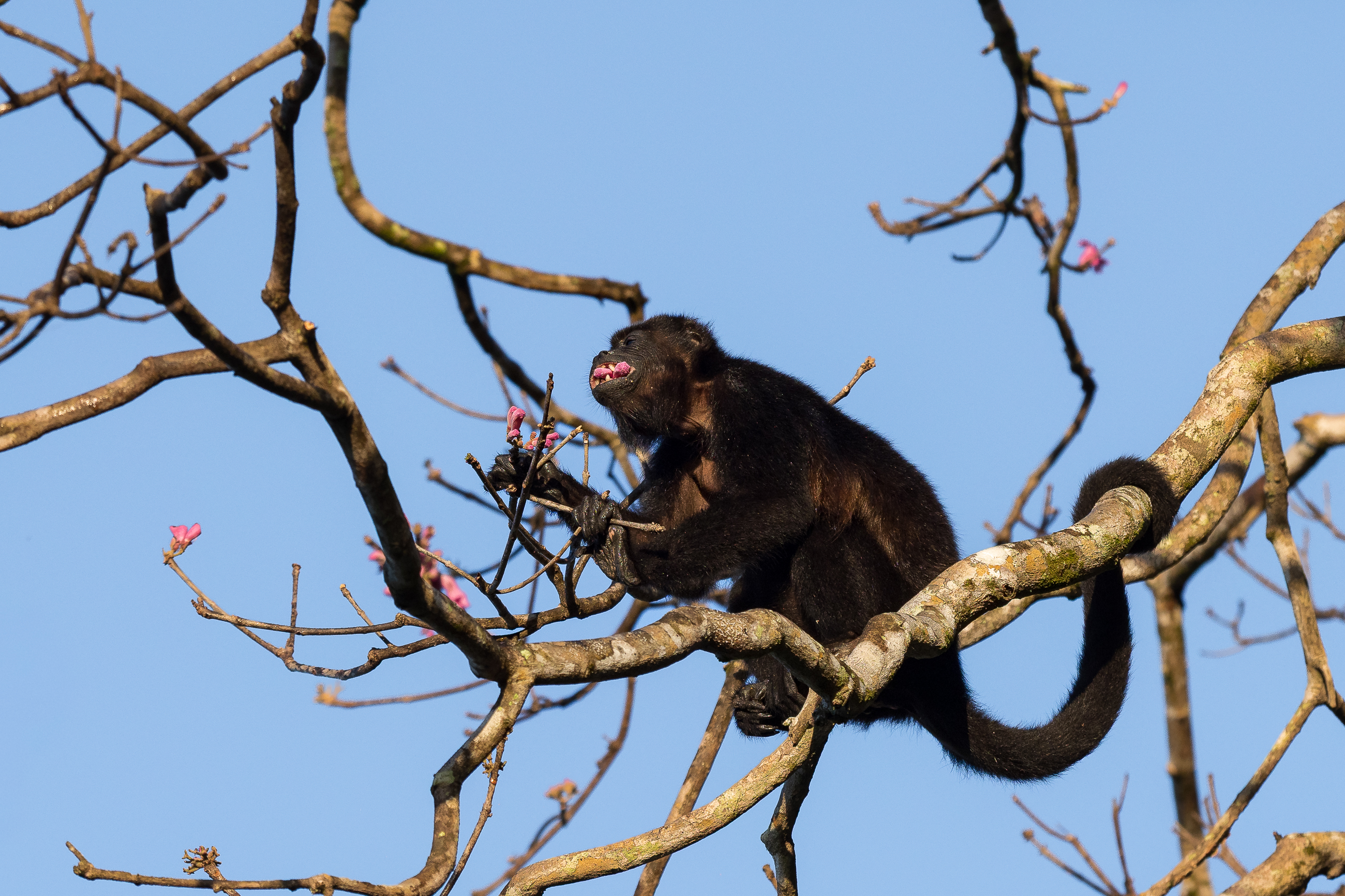 Nazwa:  P1220750.jpg
Wyświetleń: 71
Rozmiar:  3,33 MB