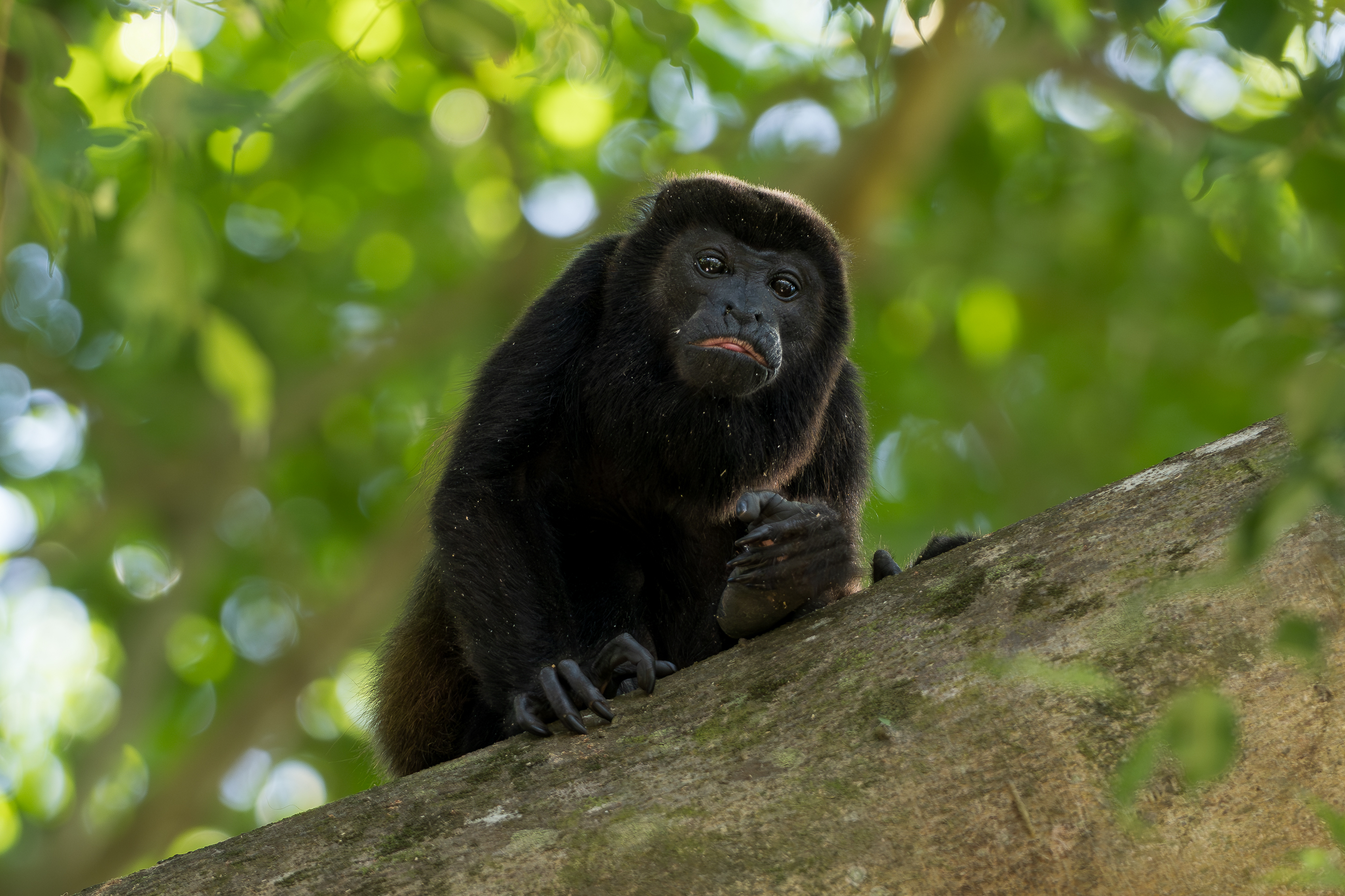 Nazwa:  P1231084.jpg
Wyświetleń: 69
Rozmiar:  2,62 MB