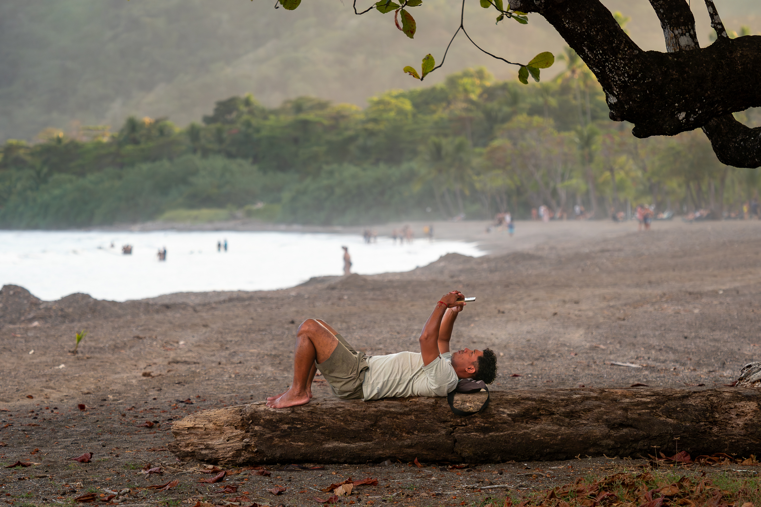 Nazwa:  P1220689.jpg
Wyświetleń: 24
Rozmiar:  3,01 MB