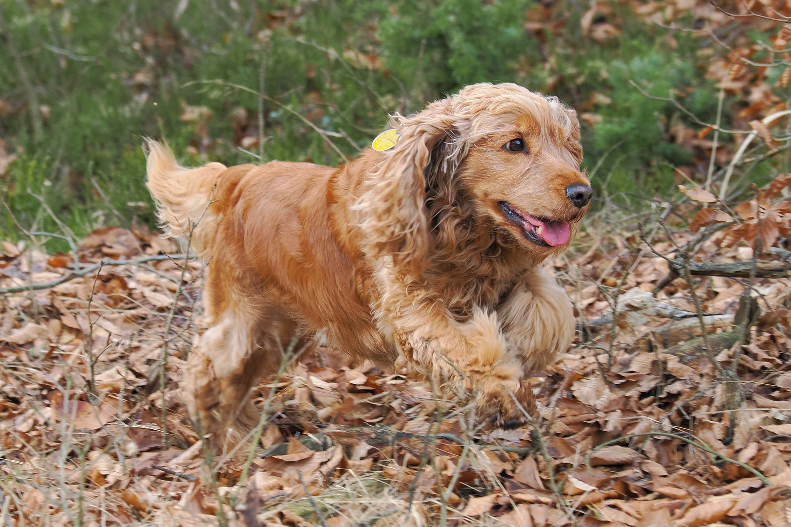 Nazwa:  Figa000900q.jpg
Wyświetleń: 13
Rozmiar:  482,6 KB