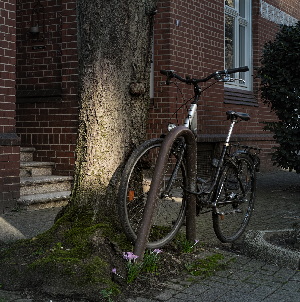 Nazwa:  _SDI0346.jpg
Wyświetleń: 89
Rozmiar:  978,5 KB