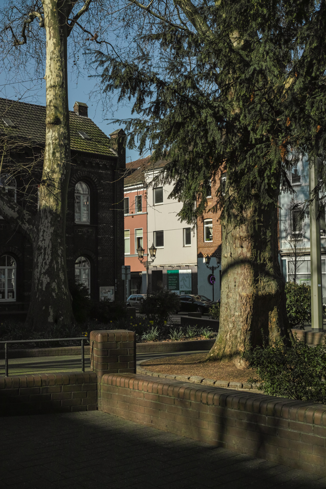 Nazwa:  _SDI0178-2.jpg
Wyświetleń: 68
Rozmiar:  717,5 KB