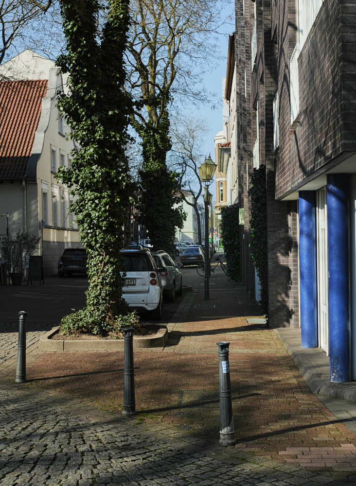 Nazwa:  _SDI0144 2.jpg
Wyświetleń: 59
Rozmiar:  965,2 KB