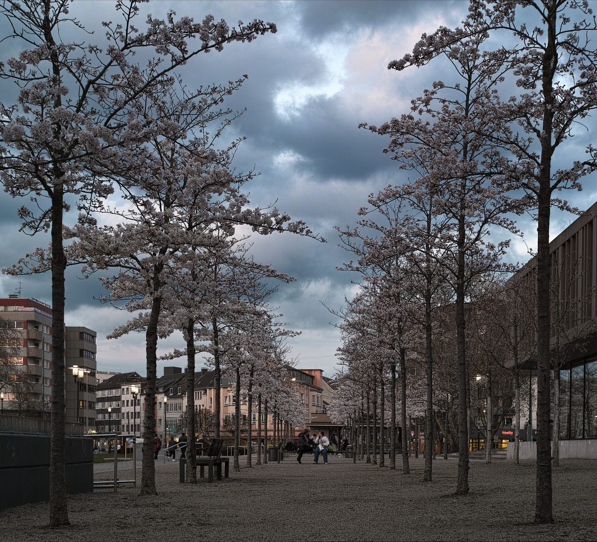 Nazwa:  duis00125_DxO-3.jpg
Wyświetleń: 19
Rozmiar:  2,21 MB