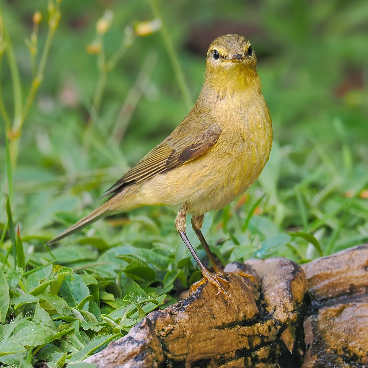 Nazwa:  piecuszek334269jf.jpg
Wyświetleń: 109
Rozmiar:  303,8 KB