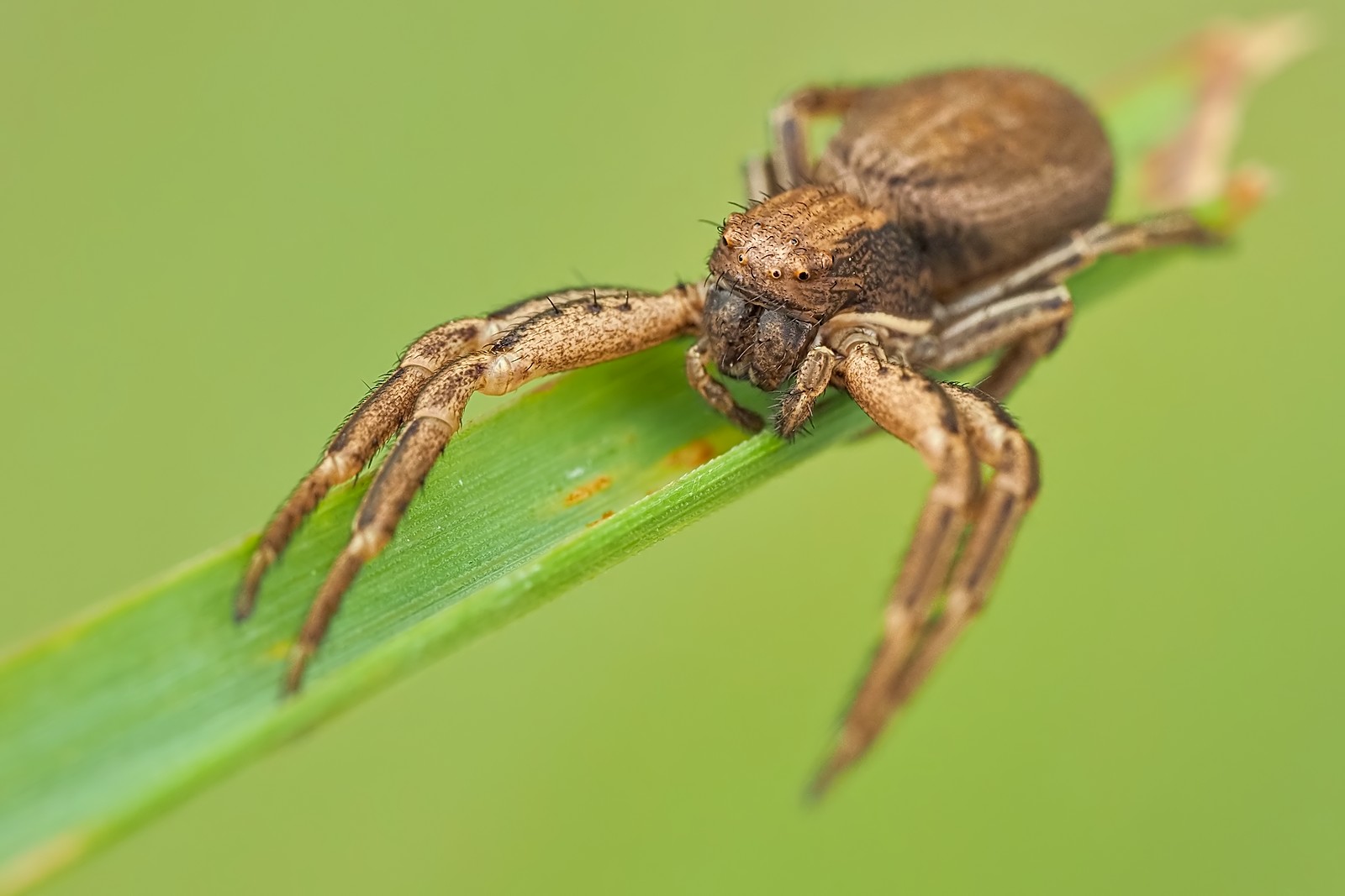 Nazwa:  bokochód136658mf.jpg
Wyświetleń: 24
Rozmiar:  147,7 KB