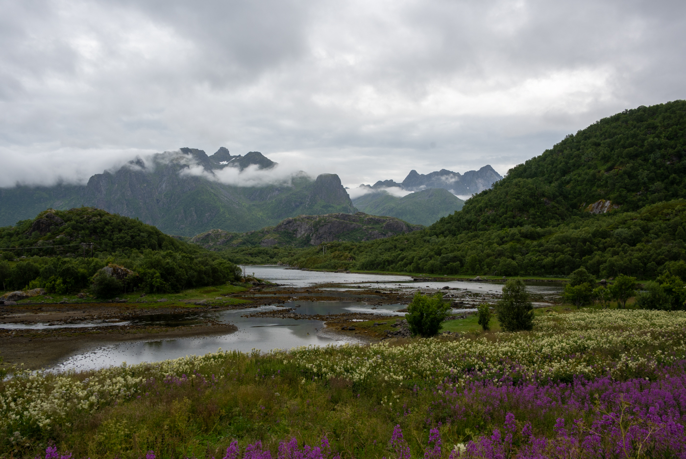 Nazwa:  _Z7N3102.jpg
Wyświetleń: 47
Rozmiar:  1.019,9 KB