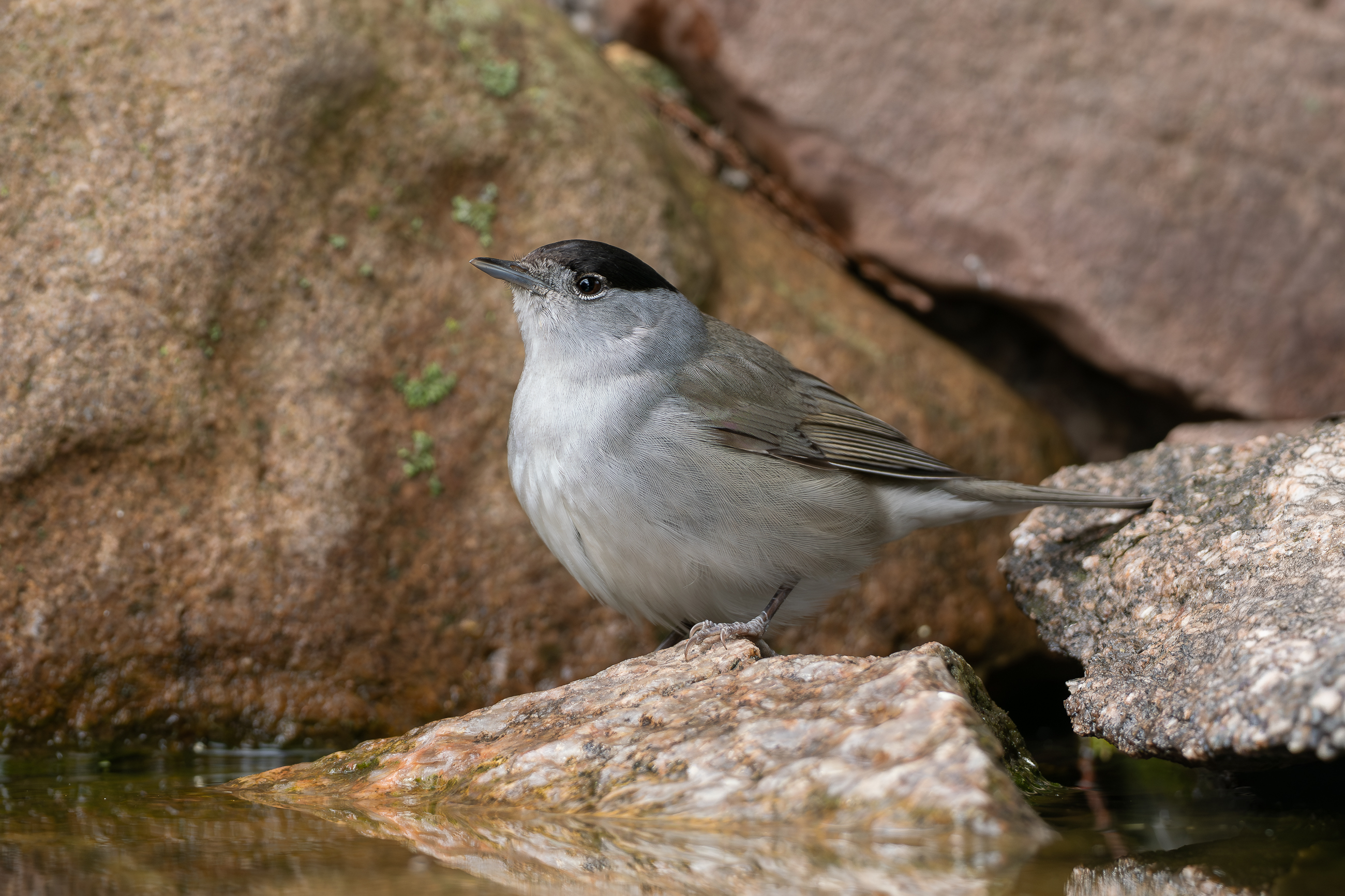 Nazwa:  P4110038-2.jpg
Wyświetleń: 79
Rozmiar:  2,48 MB