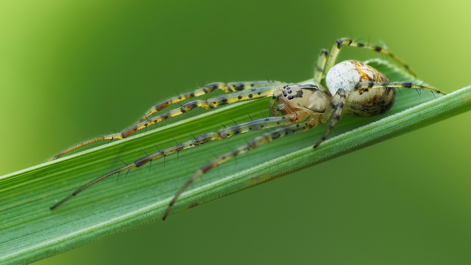 Nazwa:  czaik jesienny210364mf.jpg
Wyświetleń: 28
Rozmiar:  249,7 KB