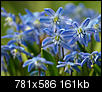 Kliknij obrazek, aby uzyskać większą wersję

Nazwa:	P4019324.JPG
Wyświetleń:	172
Rozmiar:	161,5 KB
ID:	31353