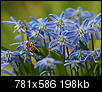 Kliknij obrazek, aby uzyskać większą wersję

Nazwa:	P4019342.JPG
Wyświetleń:	177
Rozmiar:	198,3 KB
ID:	31354