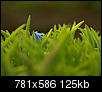 Kliknij obrazek, aby uzyskać większą wersję

Nazwa:	P4029412.JPG
Wyświetleń:	141
Rozmiar:	125,4 KB
ID:	31427