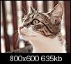 Kliknij obrazek, aby uzyskać większą wersję

Nazwa:	32.jpg
Wyświetleń:	115
Rozmiar:	634,8 KB
ID:	31846