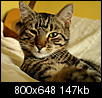 Kliknij obrazek, aby uzyskać większą wersję

Nazwa:	P5040380.jpg
Wyświetleń:	104
Rozmiar:	147,0 KB
ID:	33415
